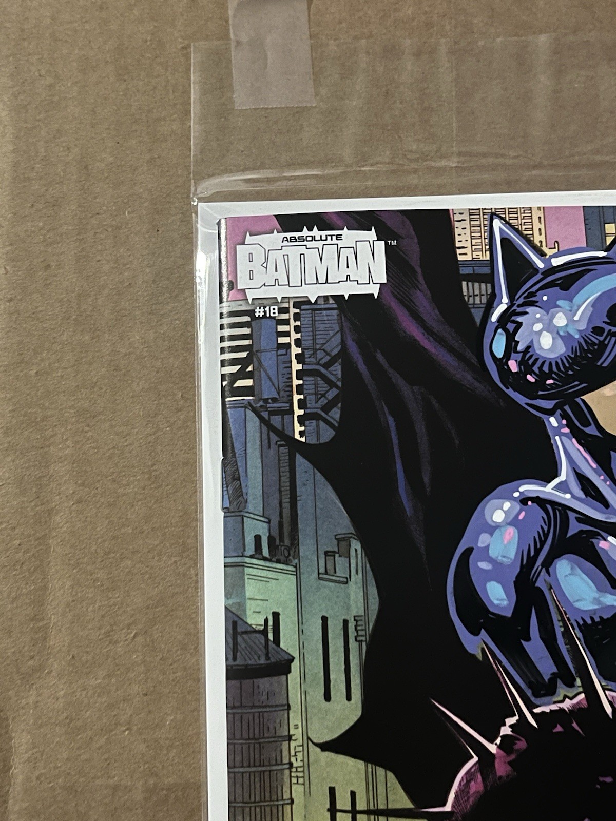 Absolute Batman #18 Absolute Catwoman Remark & Diamond Sig By Chad Hardin W/Coa