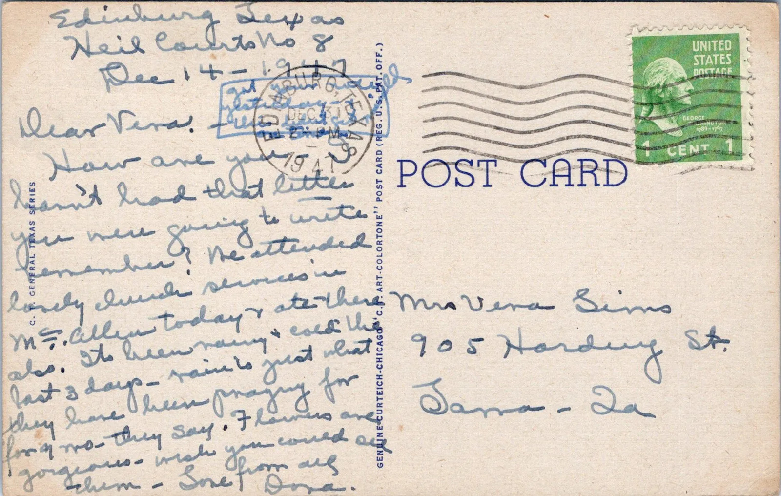 Texas, United States – Blue Bonnets Postcard