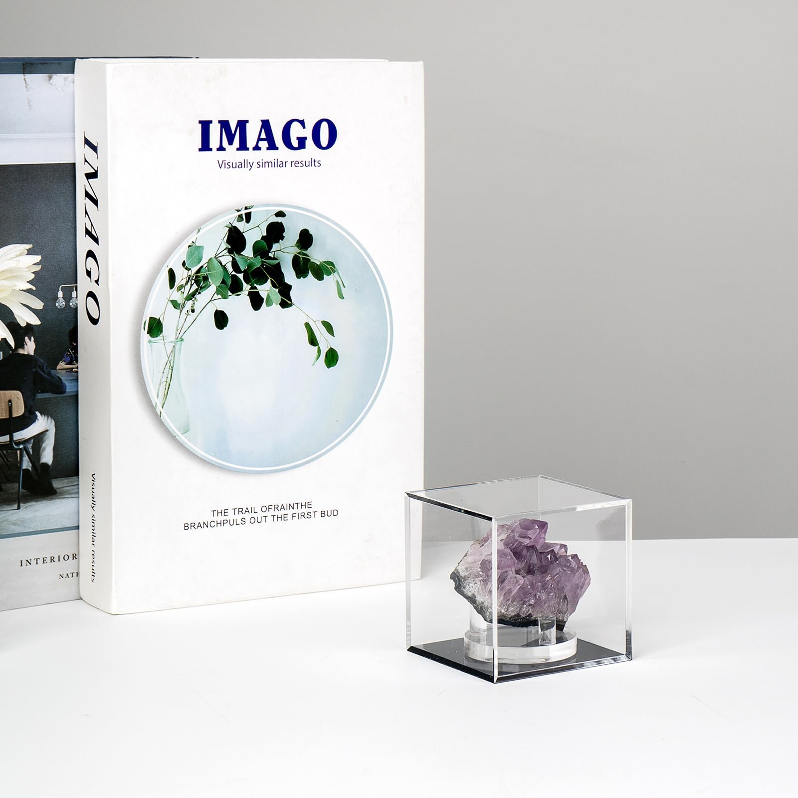 Kcgani Clear Acrylic Boxes for Collectibles Display, Removable & Black