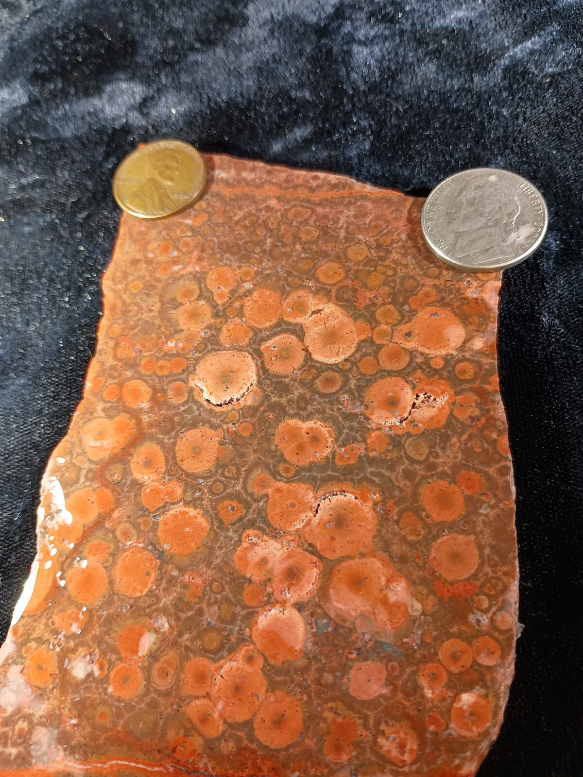 Mexican Peanut Obsidian Slab 97 grams