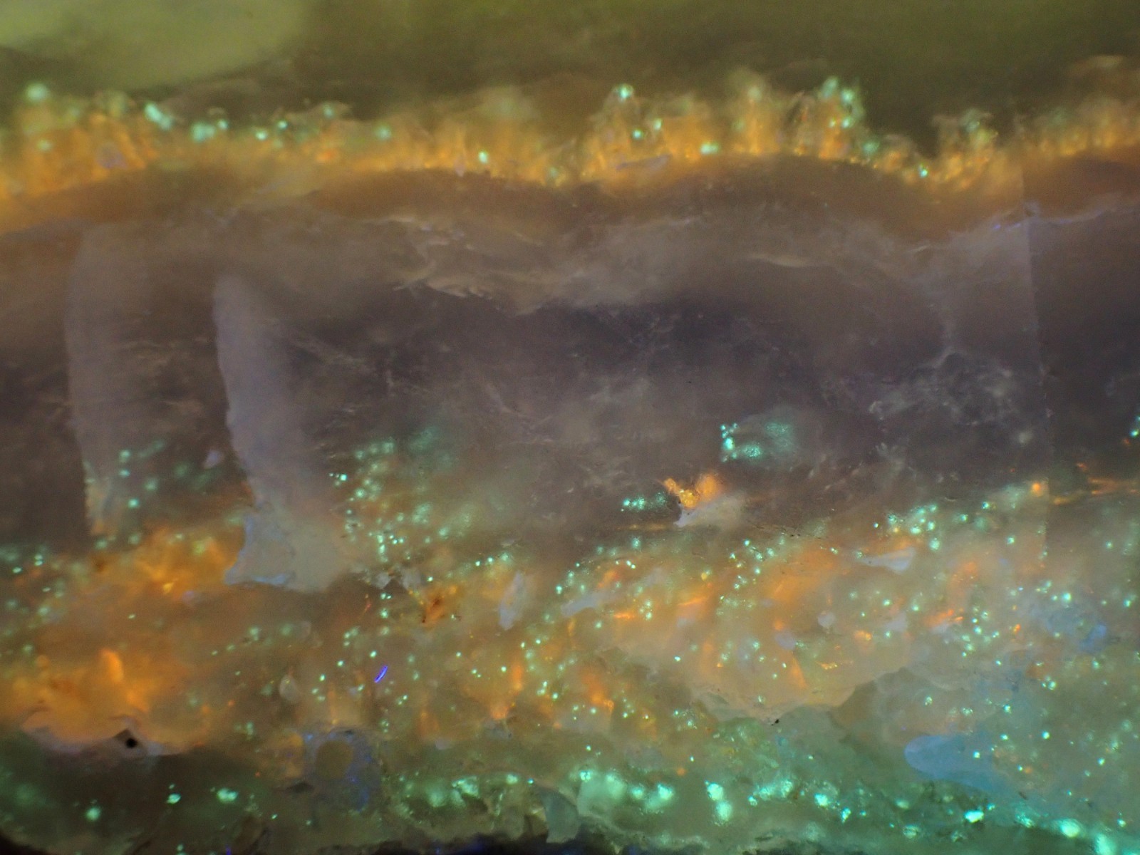 Beautifully fluorescent Hokkaidoite and opals containing organic minerals B239
