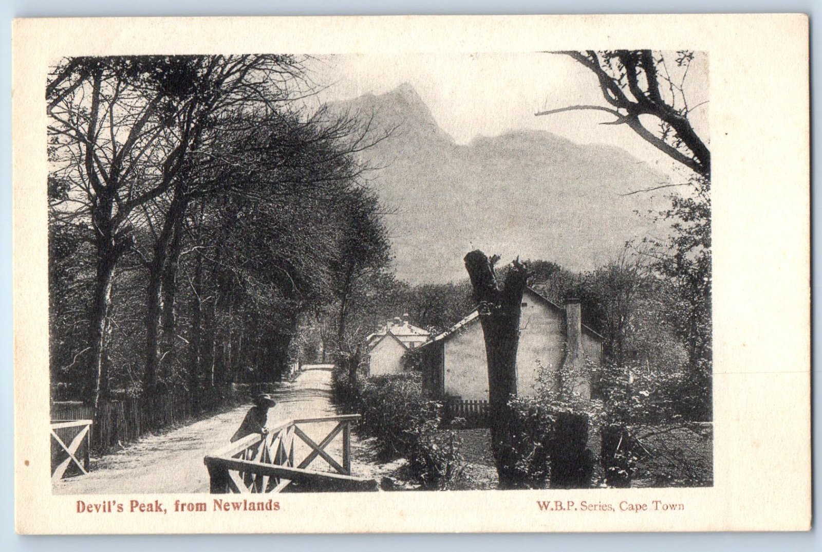 Cape Town Western Cape South Africa Postcard Devil’s Peak from Newlands c1905