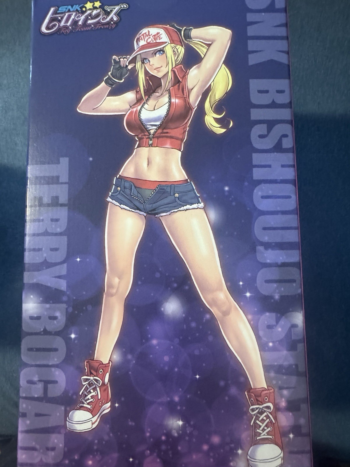 KOTOBUKIYA SNK Bishoujo Terry Bogard Figure 1/7 PVC ABS SV315