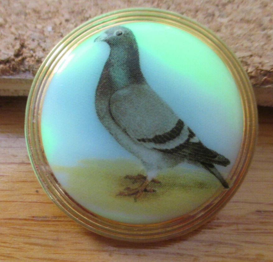 1-Czech Glass Multicolored Pigeon-Gold Border-Mint Grn UV Reactive Button #142