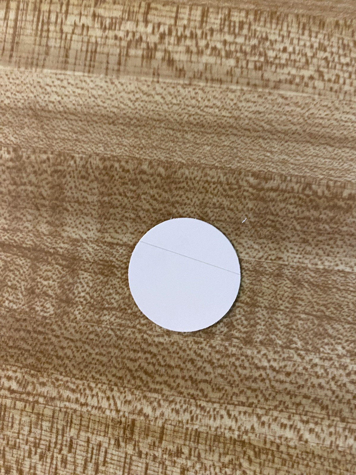 Buc-ee’s Beaver Stickers 3 different Sizes