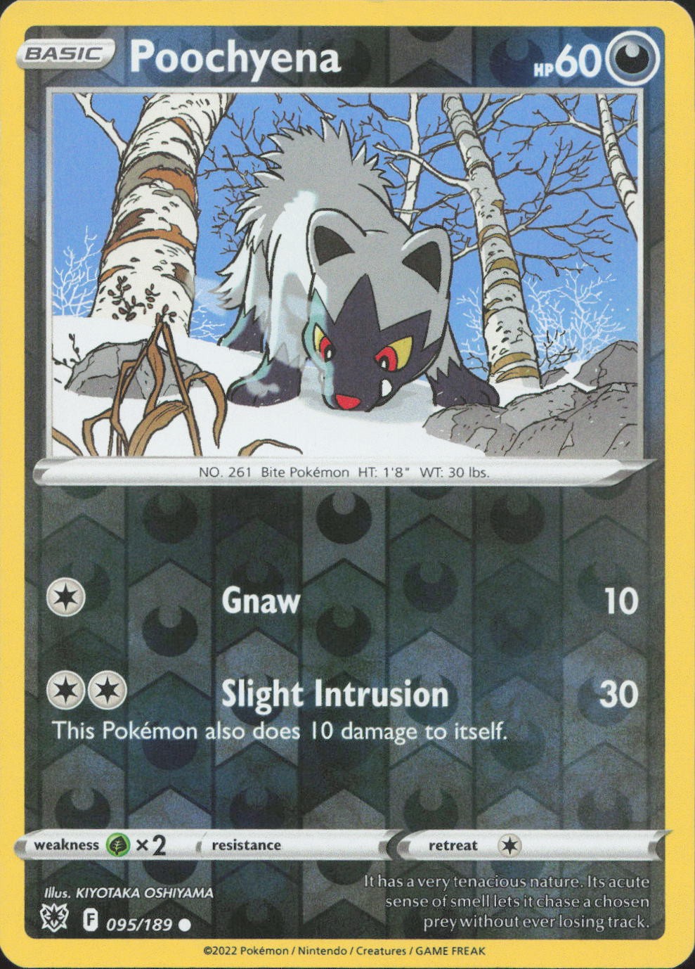 Poochyena 095/189 Common Astral Radiance Pokemon Reverse Holo Near Mint