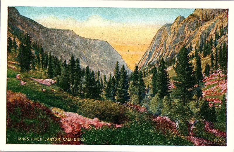 Postcard SCENE Kings Canyon National Park California CA j/05 AJ3552