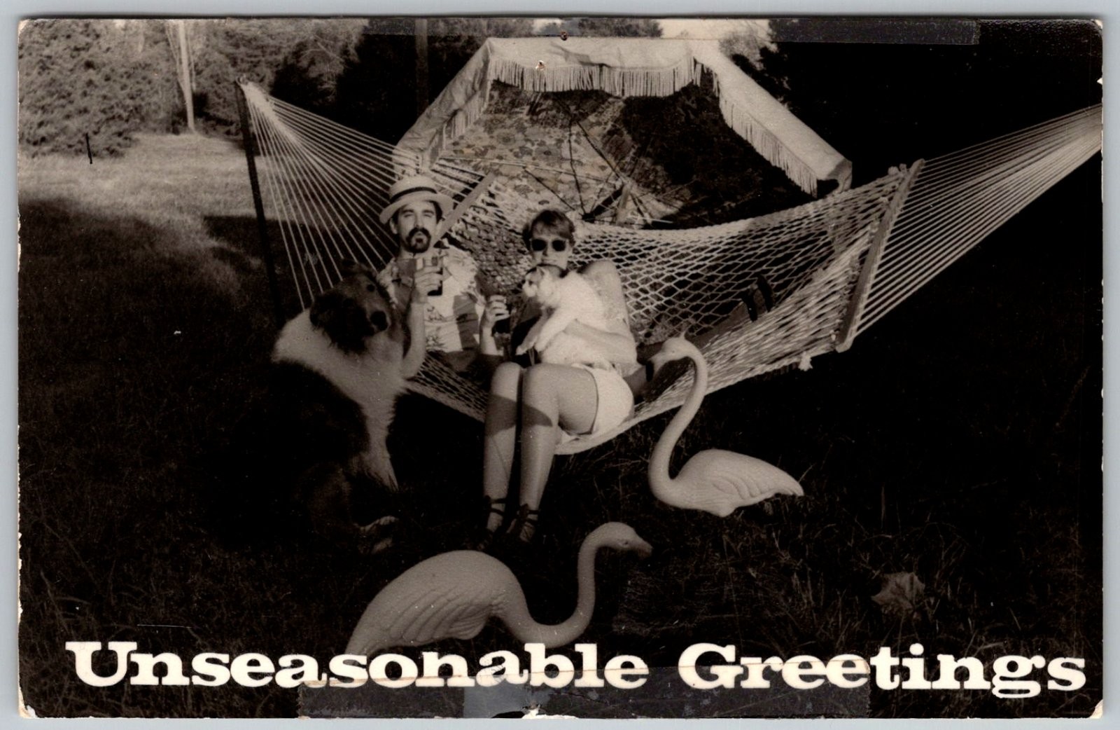 Vtg B&W Snapshot Unseasonable Greetings Hammock Couple Dog Flamingo Postcard