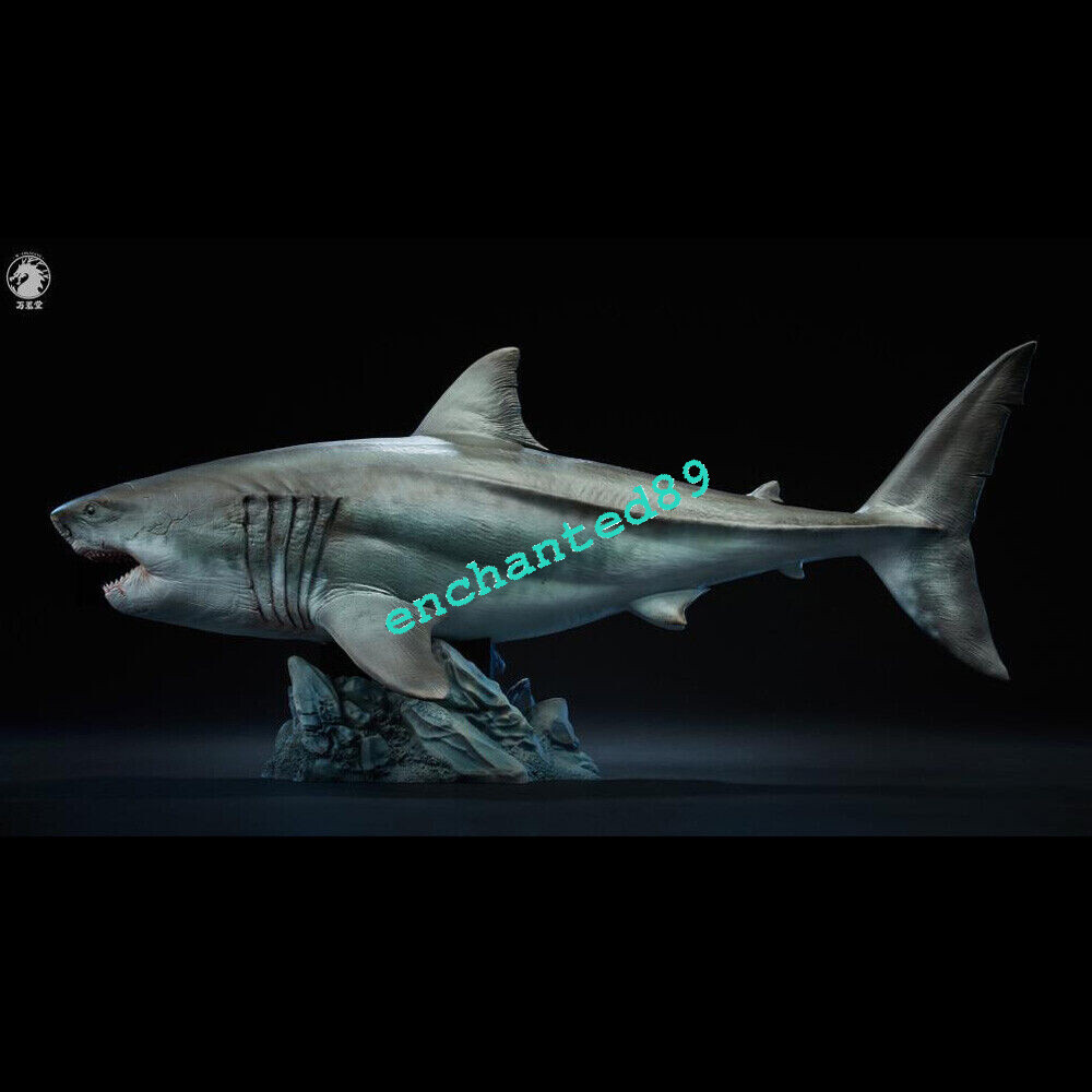 W-dragon Carcharocles Megalodon Statue 17.7in Length Model Resin Display