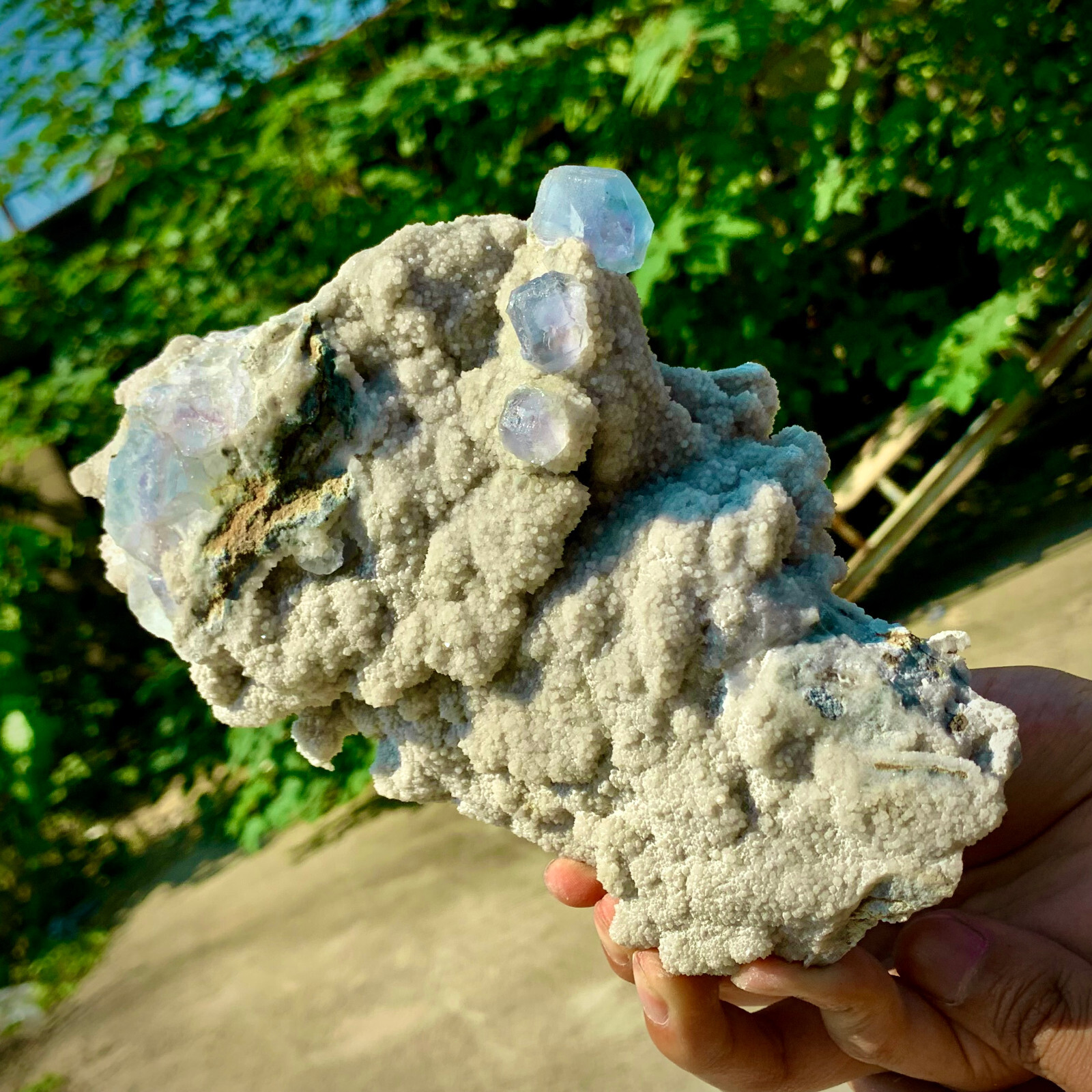 2.7LB pound rare transparent blue cubic fluorite mineral crystal sample/China-