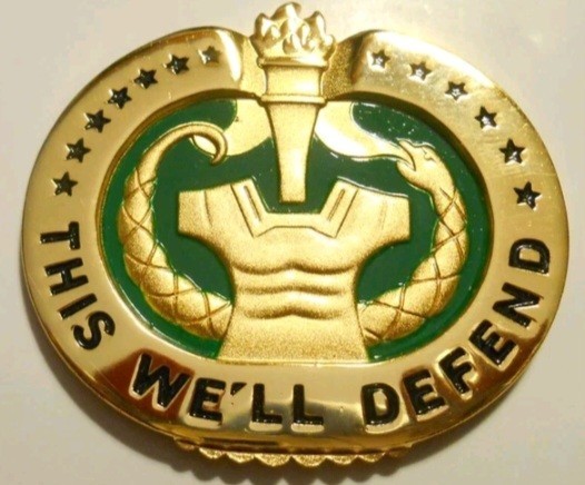 US Army Drill Sergeant Identification Badge Metal Pocket Pin back Military NOS