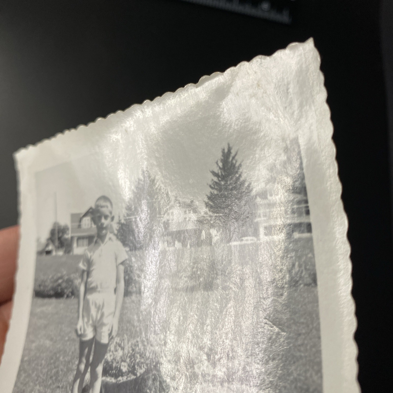 1963 Young Boy & Black Labrador Retriever Dog Flower Homes Original Photo P18m13