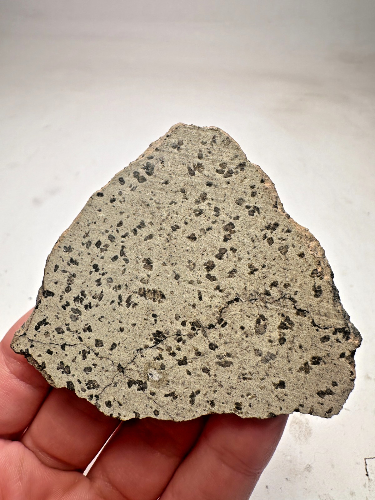 MUSEUM QUALITY! RARE TARKINT 001 MARTIAN SHERGOTTITE METEORITE! 19.2 GMS