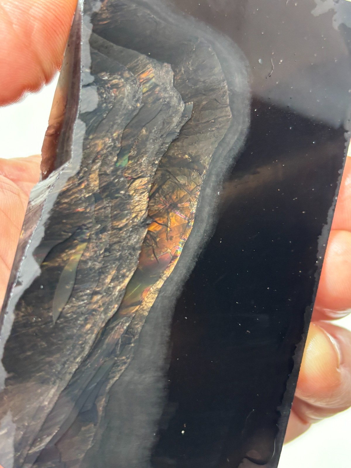 Fire Obsidian Slab Lapidary Cabbing Knapping Combo ship avail