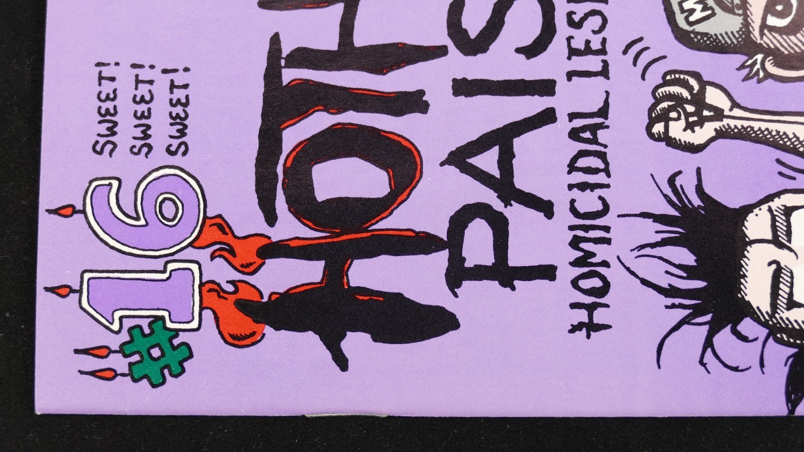 HOTHEAD PAISAN #16 Underground Comic – NEAR MINT – 1st Print LGBTQ Lesbian Comix