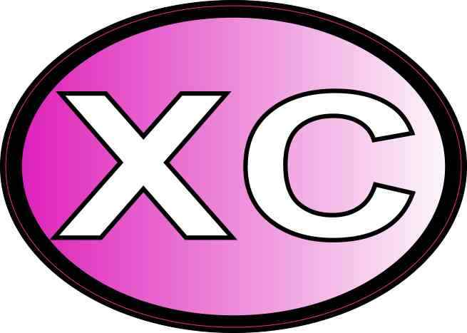 4.25in x 3in Pink Oval XC Cross Country Sticker Car Truck Vehicle Bumper Decal