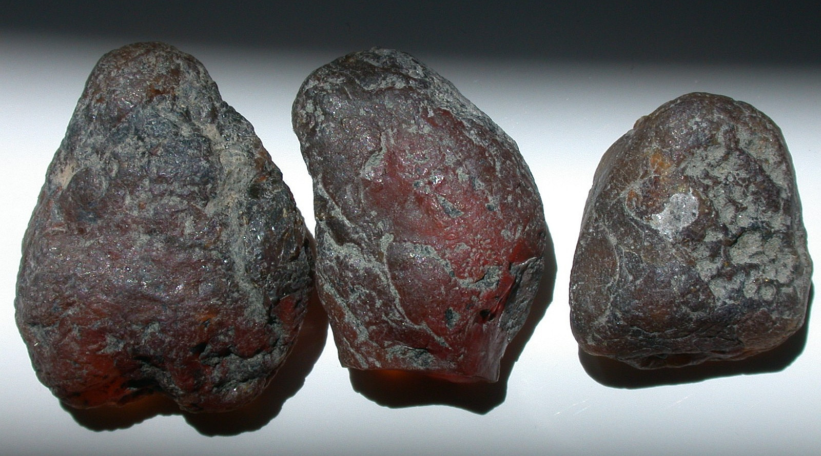 3 Large Rough Burmese Burmite Amber Fossil Stones Dinosaur Age Transparent 28 g