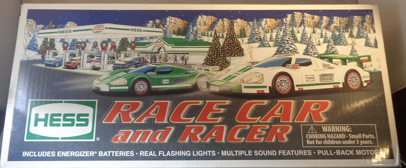 2009 Race Car and Racer