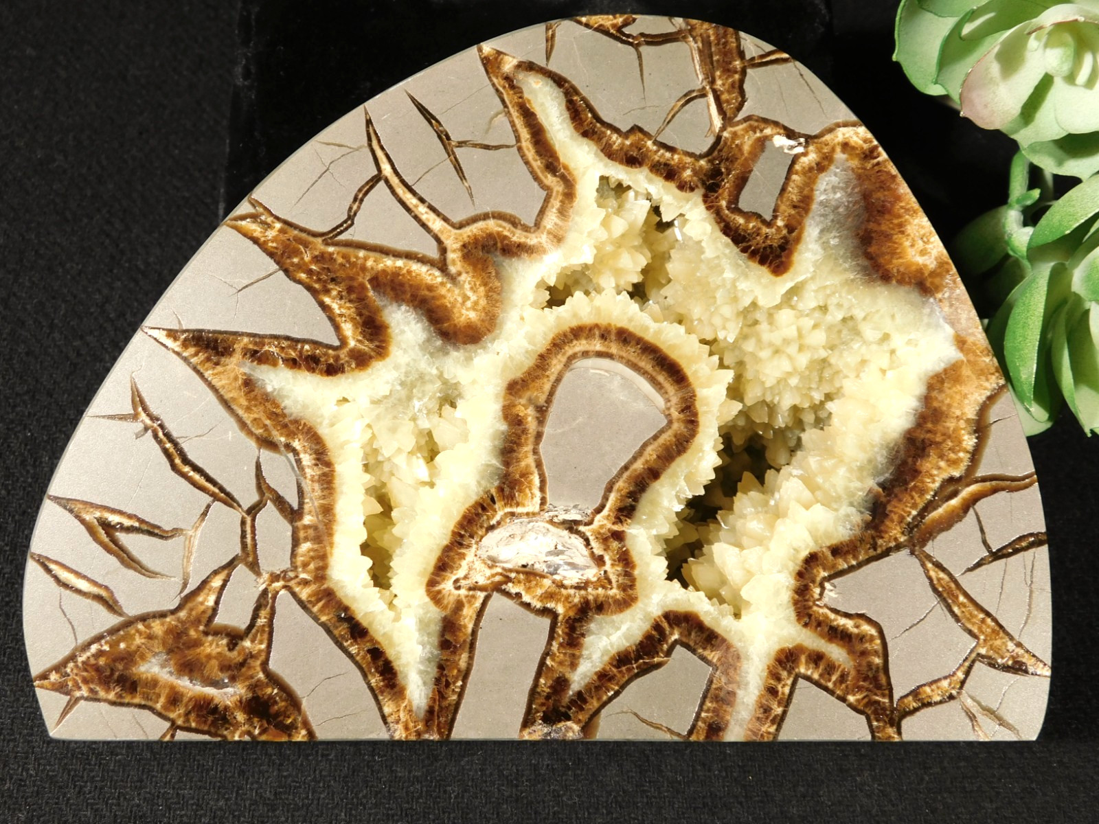 Larger! Polished AAA Crystal Filled Septarian GEODE FREE Standing Utah 852gr