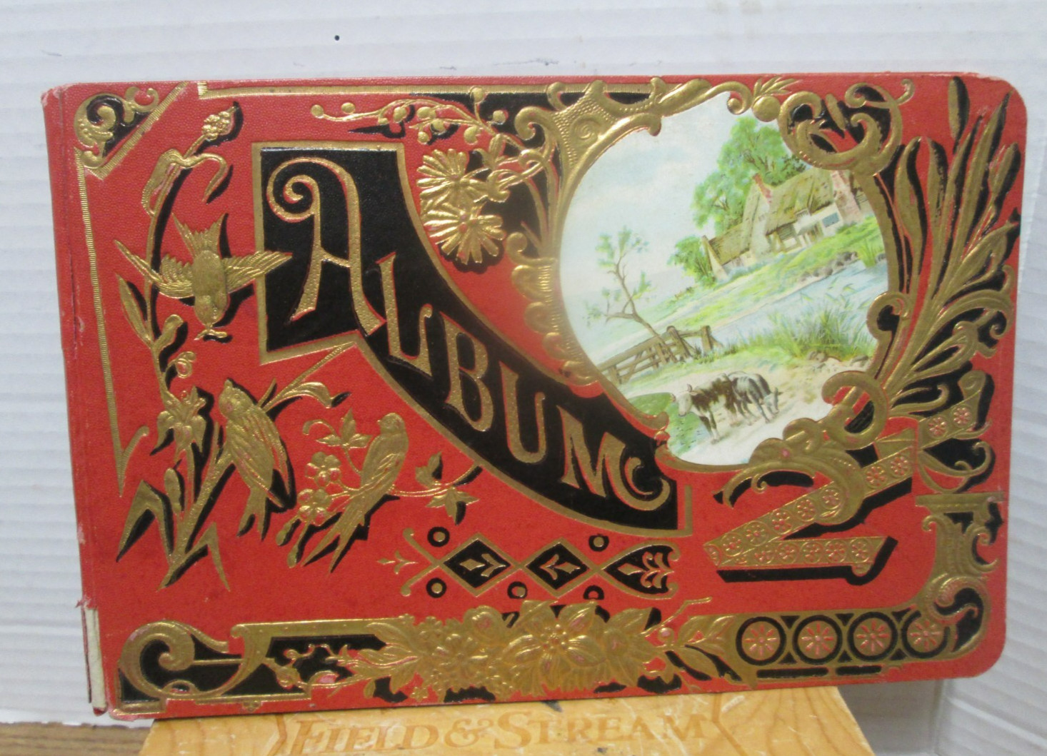 Antique Victorian Calling Card Album Embossed Gilt Cover Made in Germany 1906
