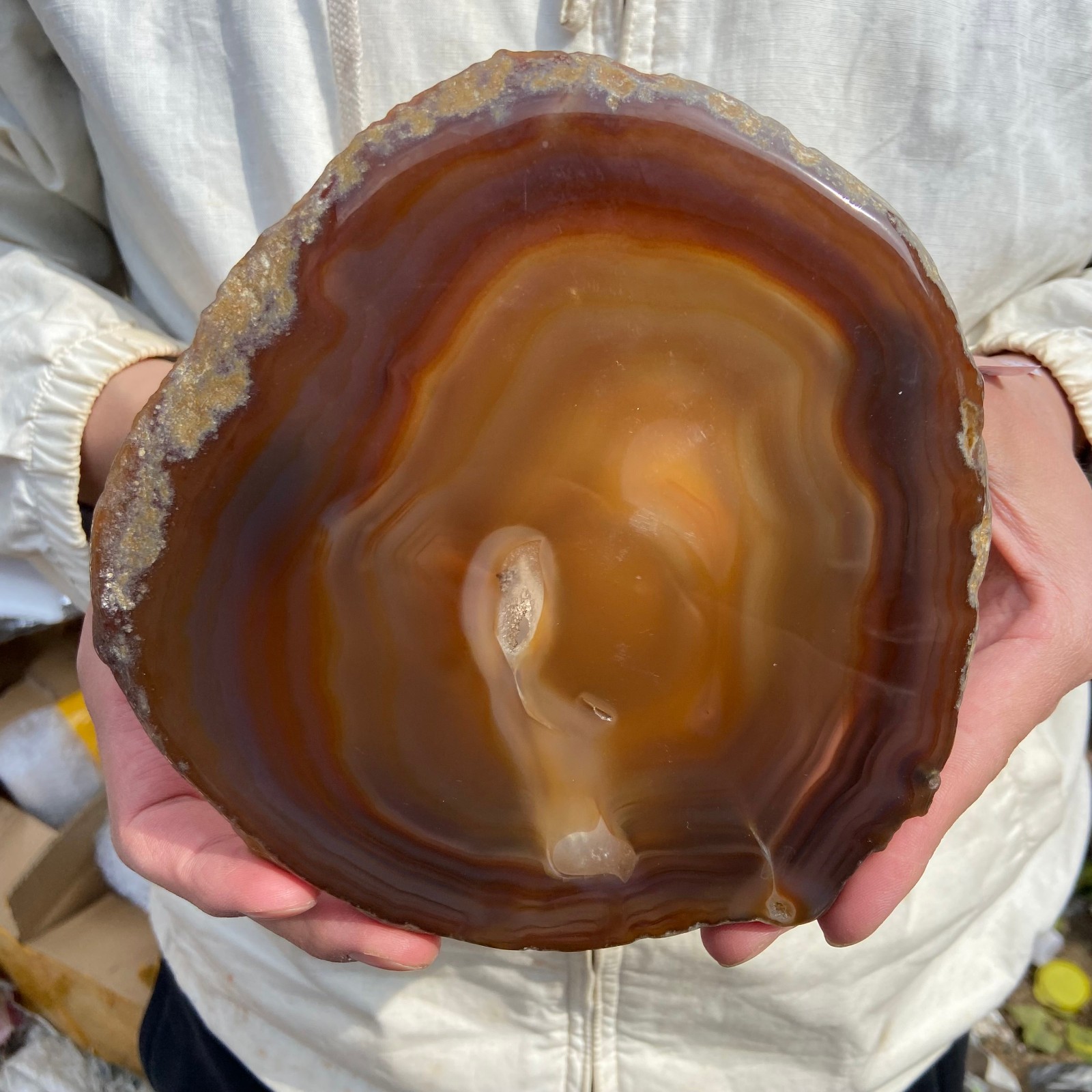 1.4lb natural Brazil striped agate slice quartz crystal specimen healing