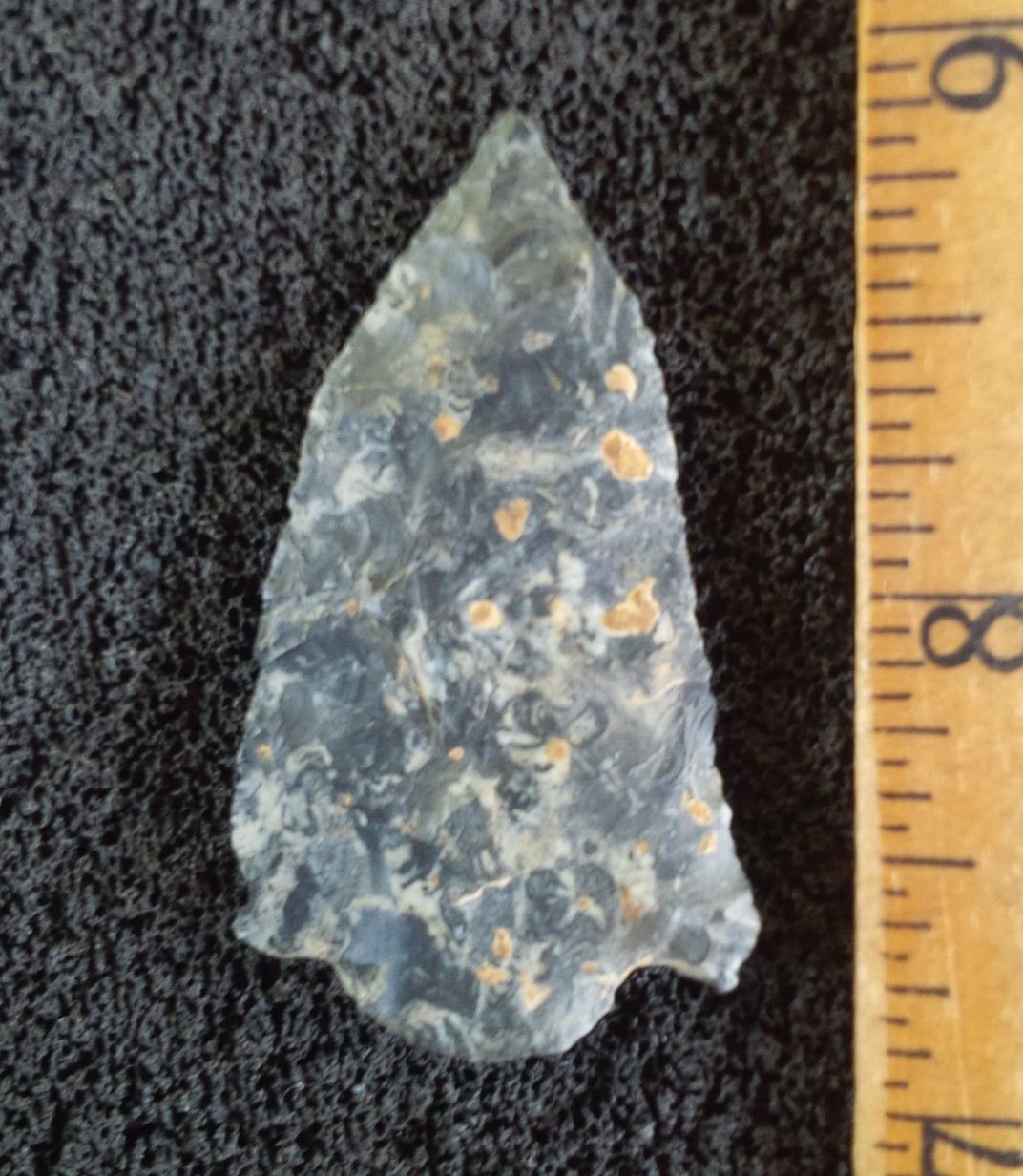 1-13/16 EVA BARBED OHIO ARROWHEAD Authentic Projectile Point AUTHENTIC ARROWHEAD
