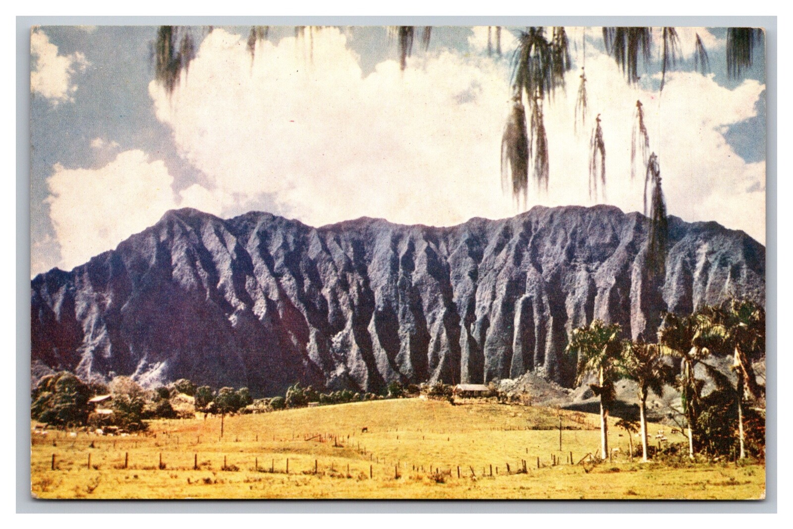 Honolu Oahu HI Hawaii Hawaiian Cliffs Landscape Scene Chrome Unp Postcard