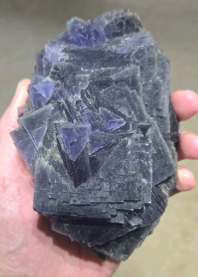 HUGE, 3LB+! MUSEUM GRADE BLUE/PURPLE CUBIC FLUORITE CRYSTAL DISPLAY SPECIMEN!