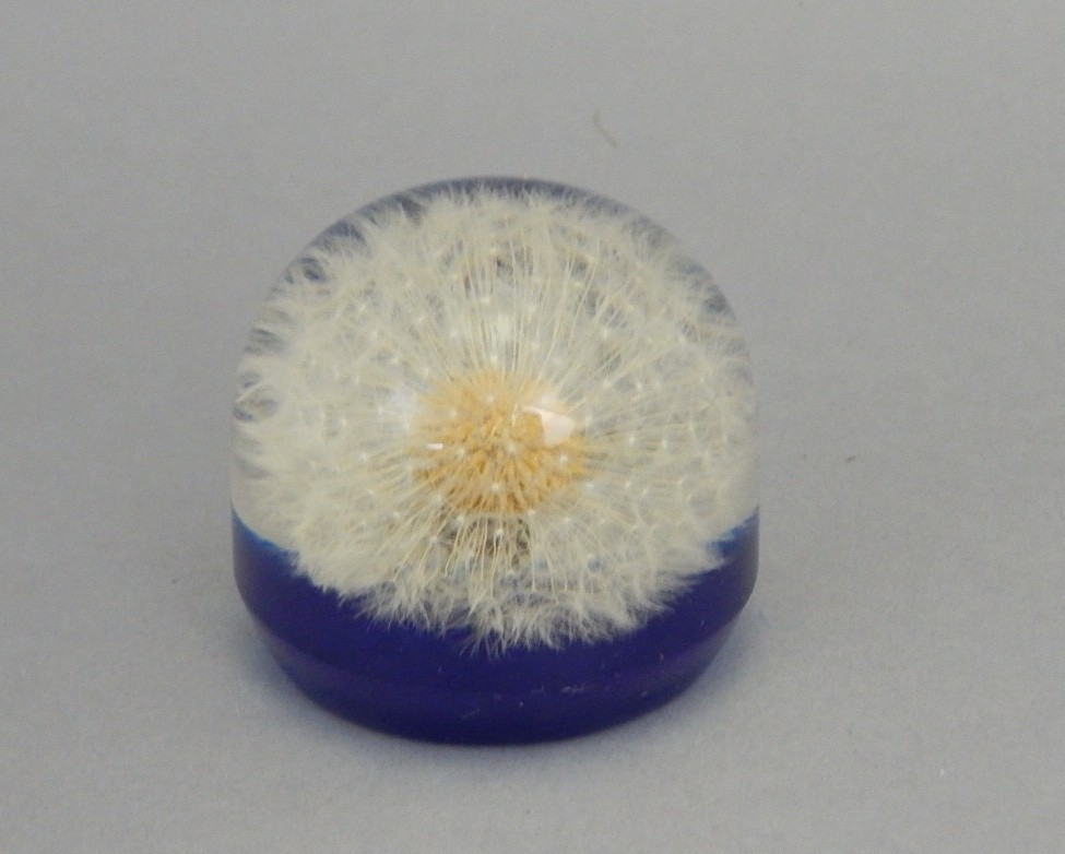 Vtg Dandelion Paperweight Encased Lucite Resin Acrylic Signed Mr T