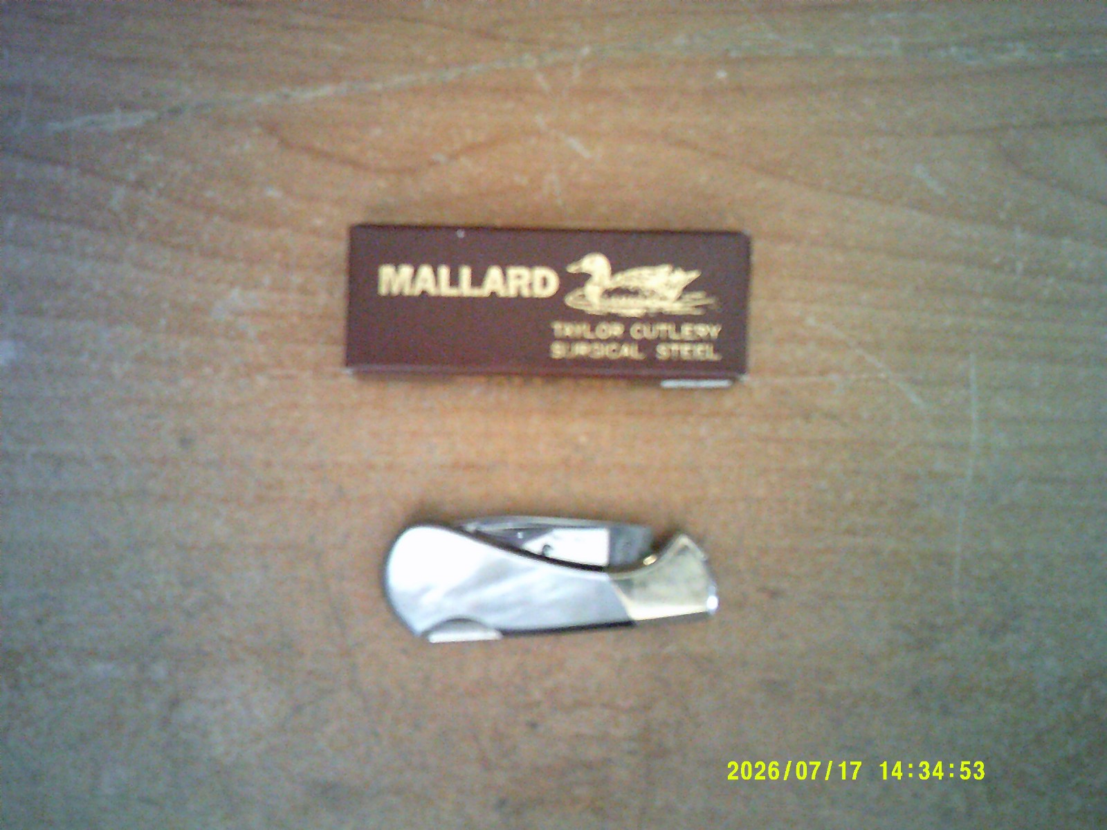 Taylor Cutlery Elk Horn Surgical Steel Mallard Pocket Knife – Early 80’s Japan