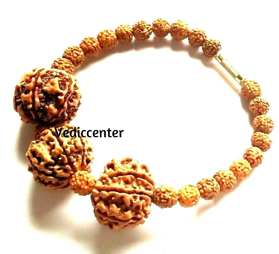 7 Mukhi Rudraksha Bracelet natural nepal origin beads best quality stretchable