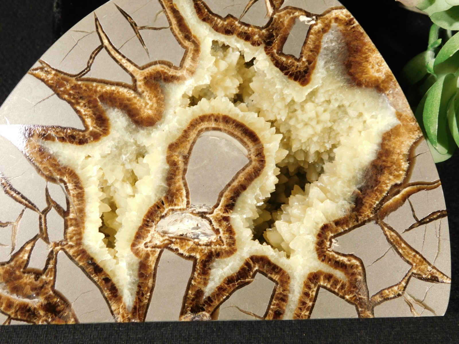 Larger! Polished AAA Crystal Filled Septarian GEODE FREE Standing Utah 852gr