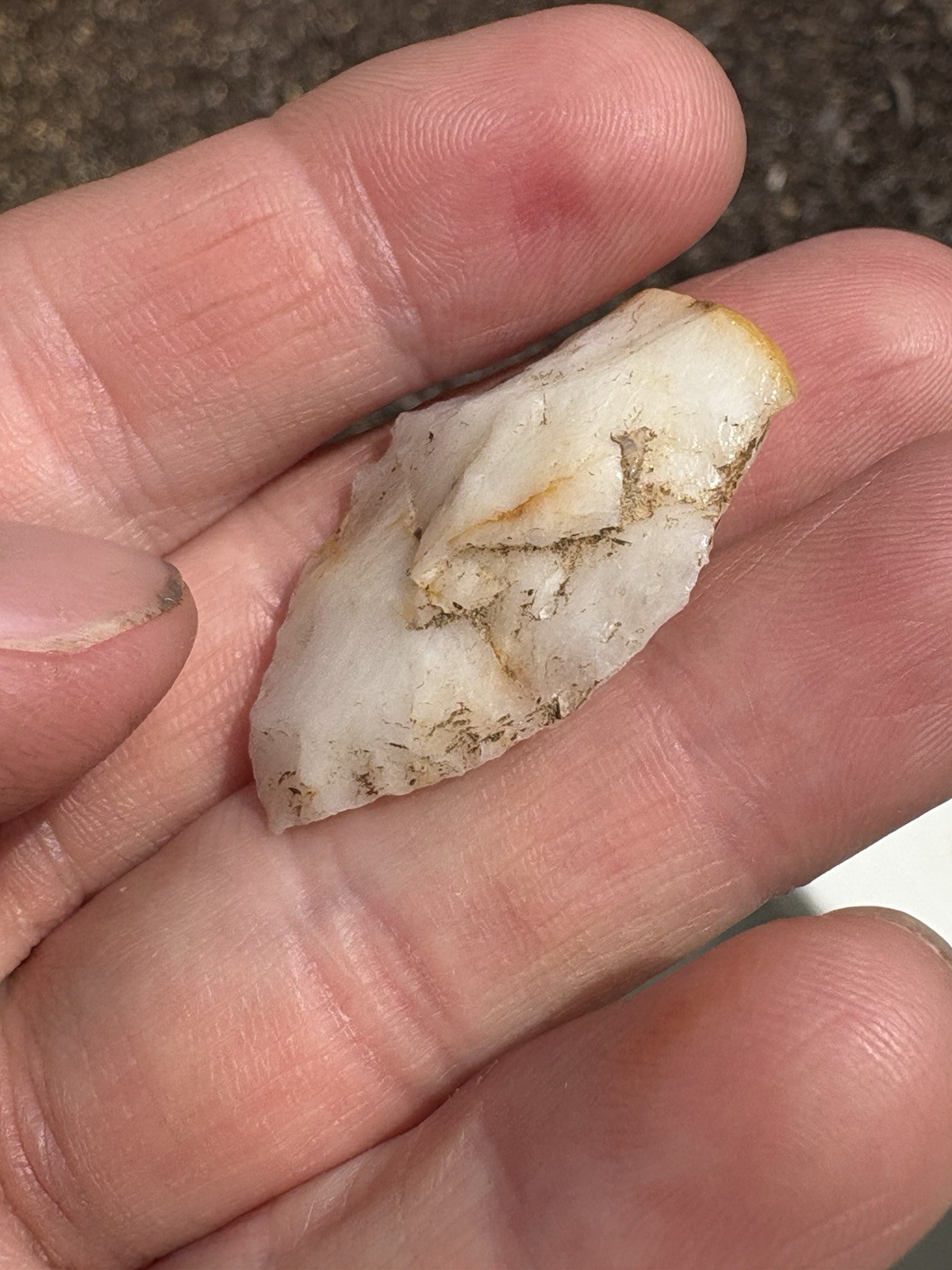 GUARANTEED Authentic Ancient Alabama Indian Artifact- 1 7/16″
