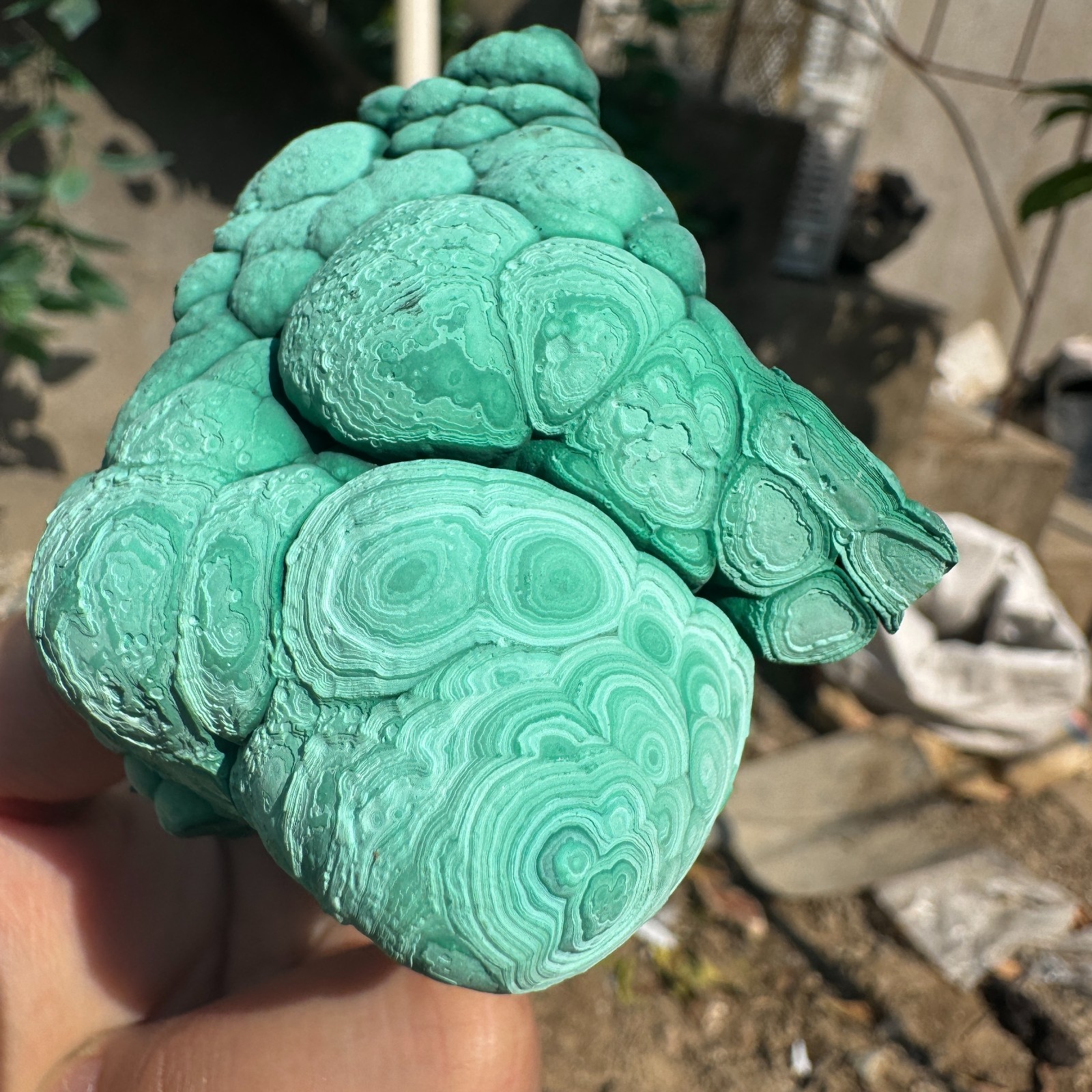 245G Natural Malachite crystal quartz Mineral Specimen Reiki congo