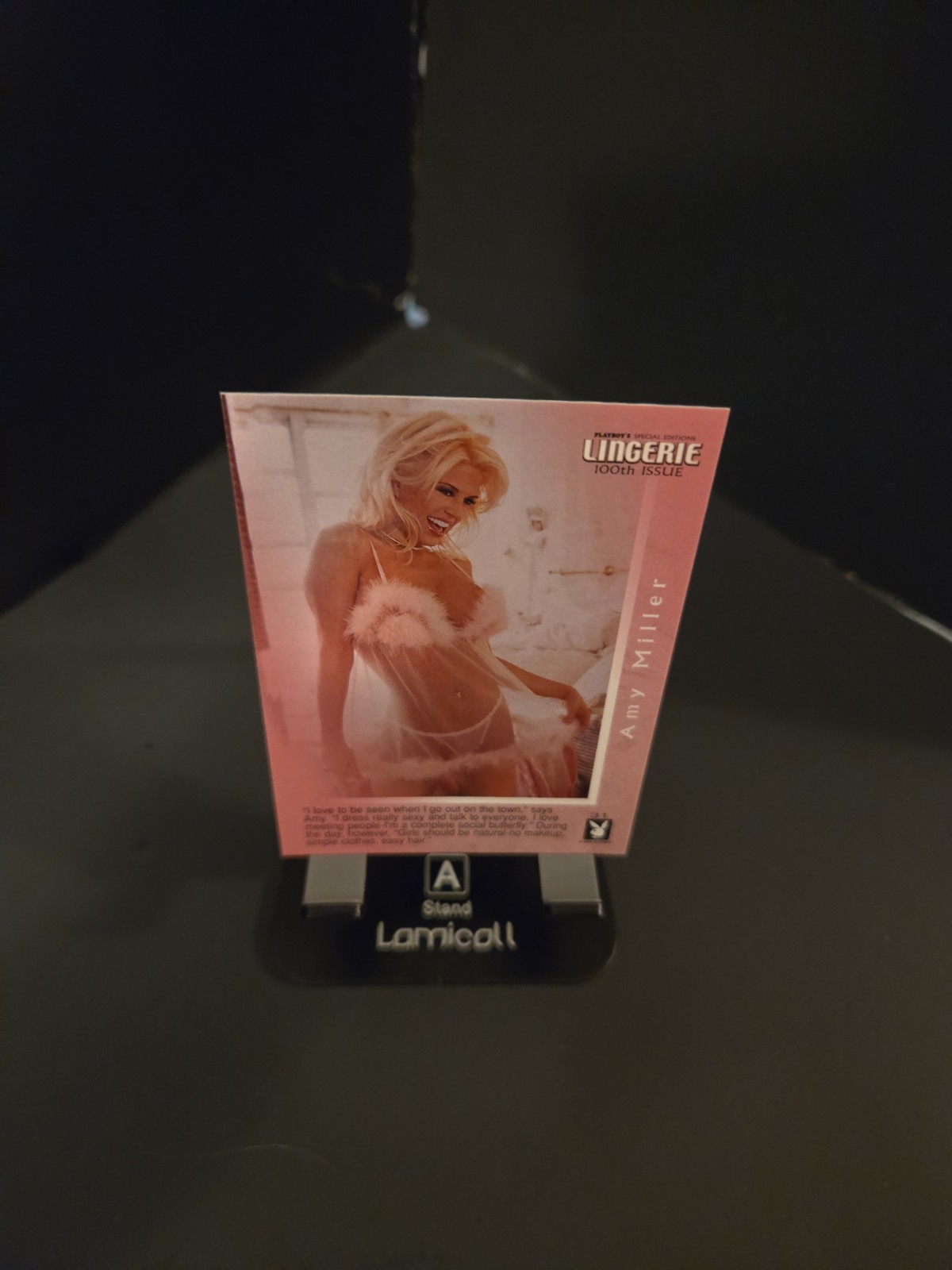 100th Lingerie Premium Model Playboy COLECTORS Card Retro Trading As Pictured!!