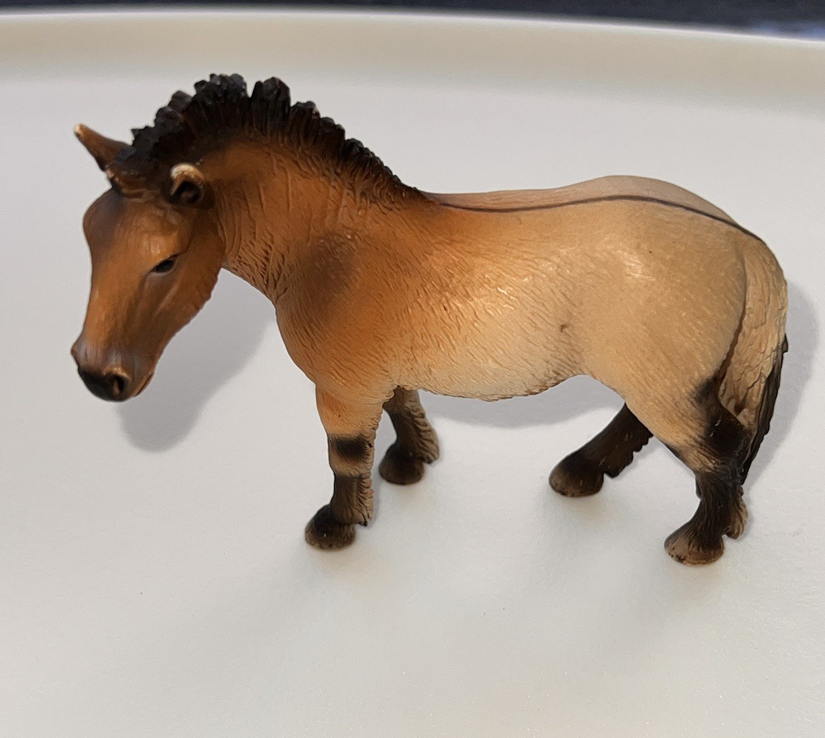 Schleich 13620 Przewalski Mare | Rare & Retired| 2006 Horse