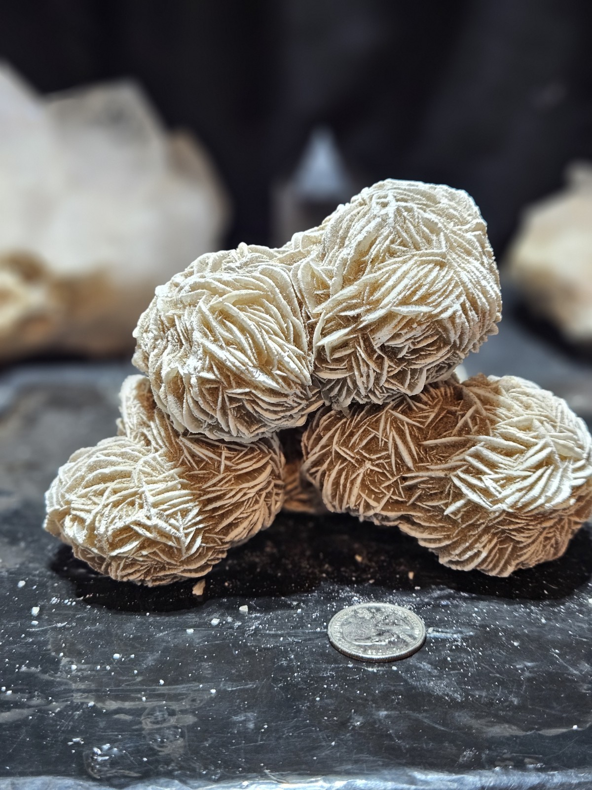 Selenite Desert Rose Specimen Natural Form (2lbs 1oz) #6