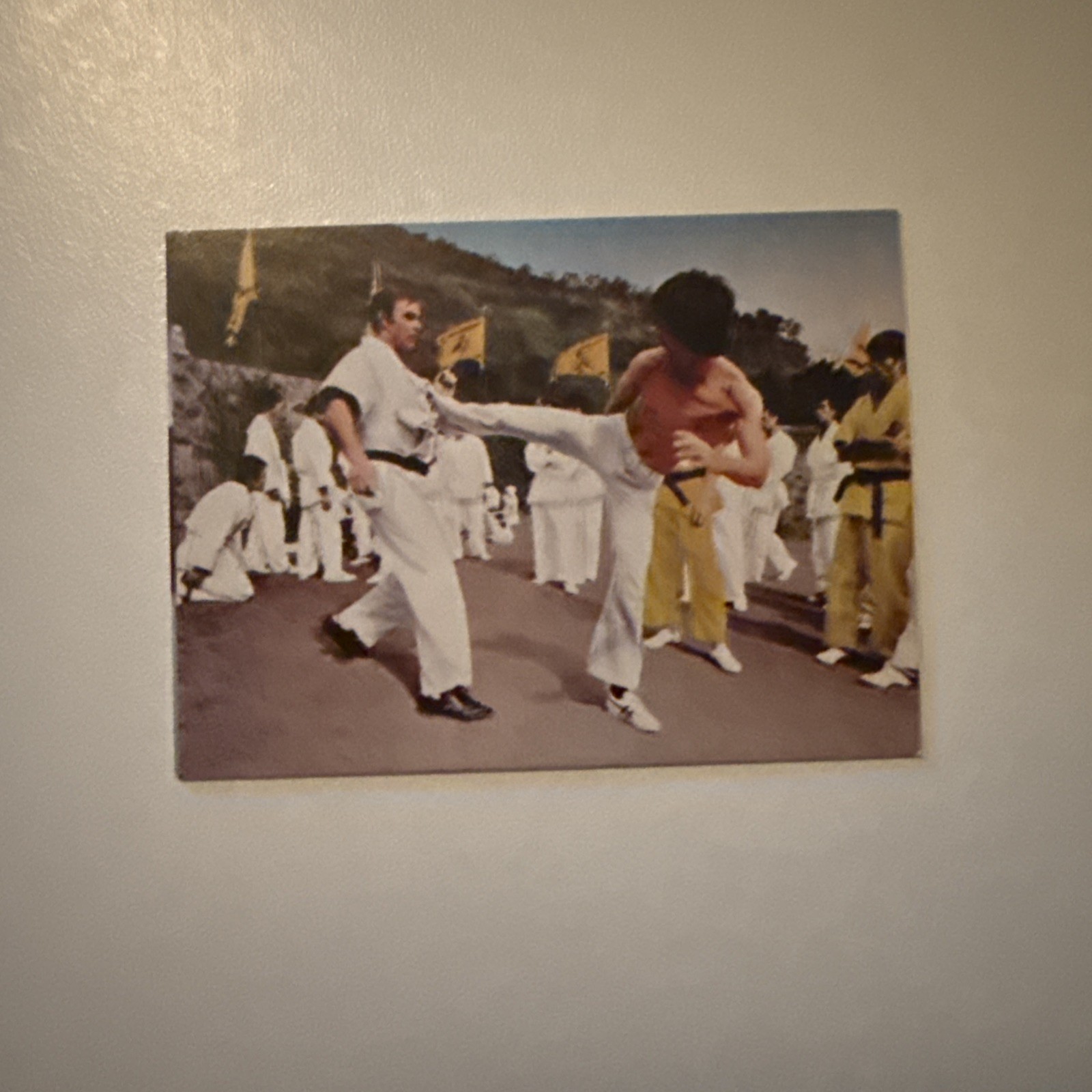 Bruce Lee 1974 Yamakatsu Japan Enter the Dragon #20 Rookie Card RC *EX*