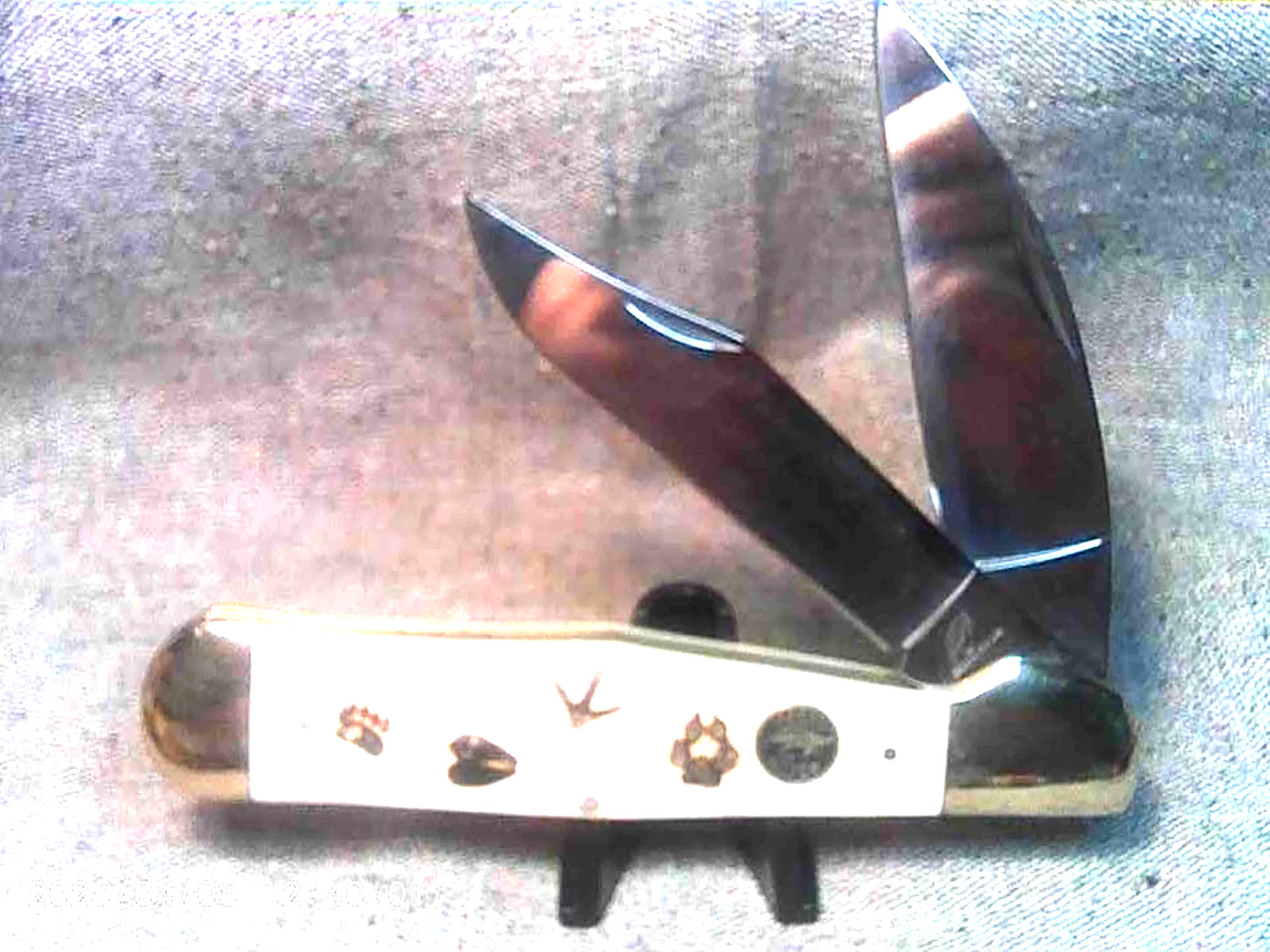 Classic Coke Bottle Pocketknife White Bone Handles w/Shield & Tracks, 5-1/2″