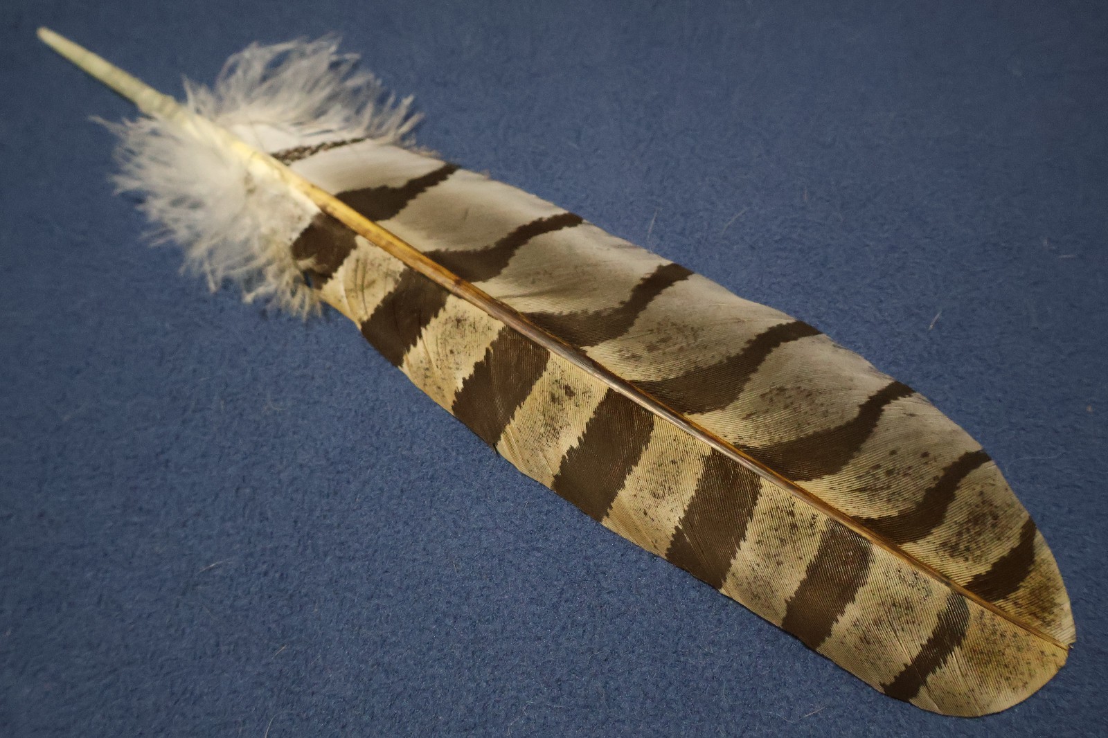 Native American realistic hand-painted Great Horned Owl Feather