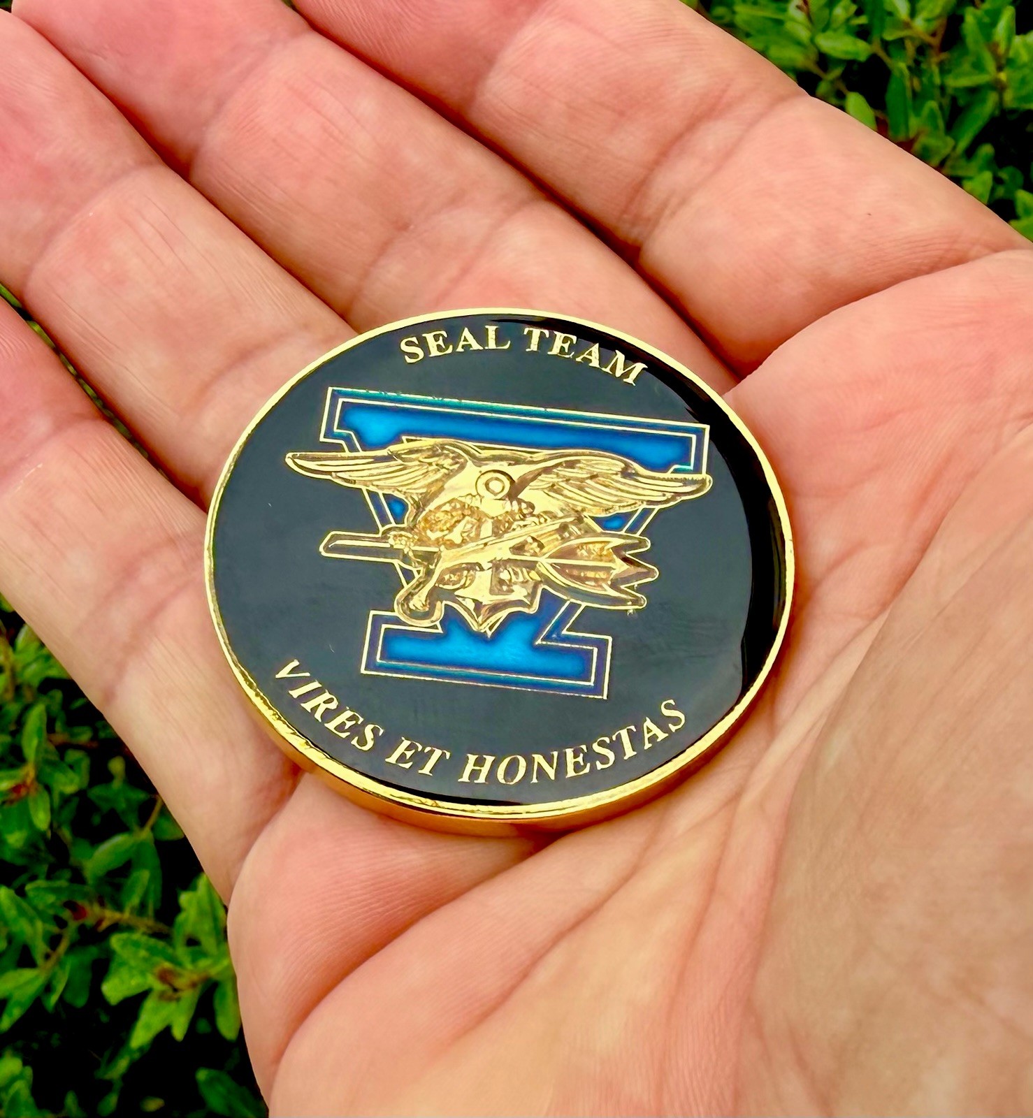 Navy Seal Team 5 Bravo Plt 3B Seals UDT 11 Challenge Coin Sun Pinup Bikini Girl