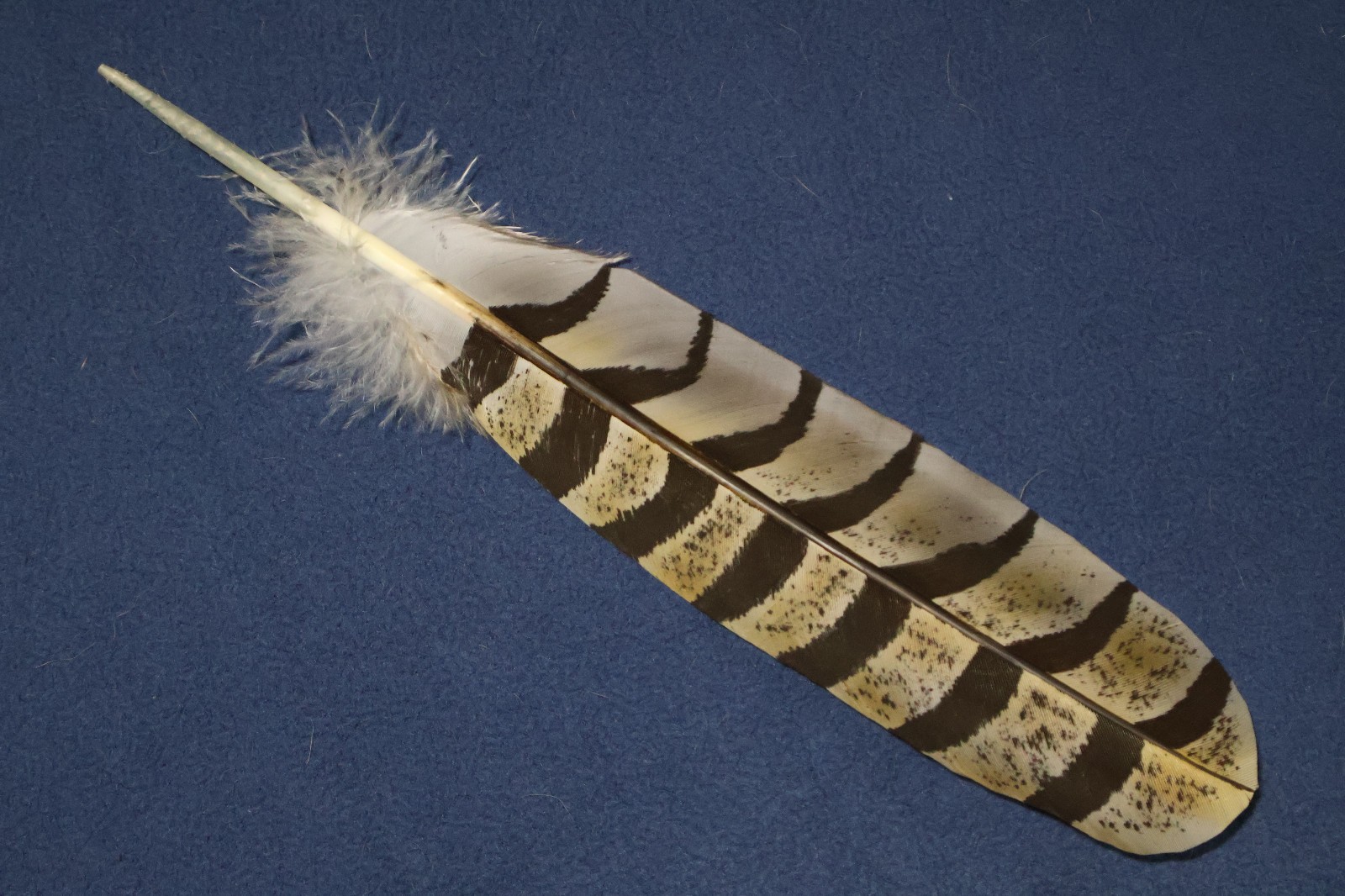 Native American realistic hand-painted Great Horned Owl Feather