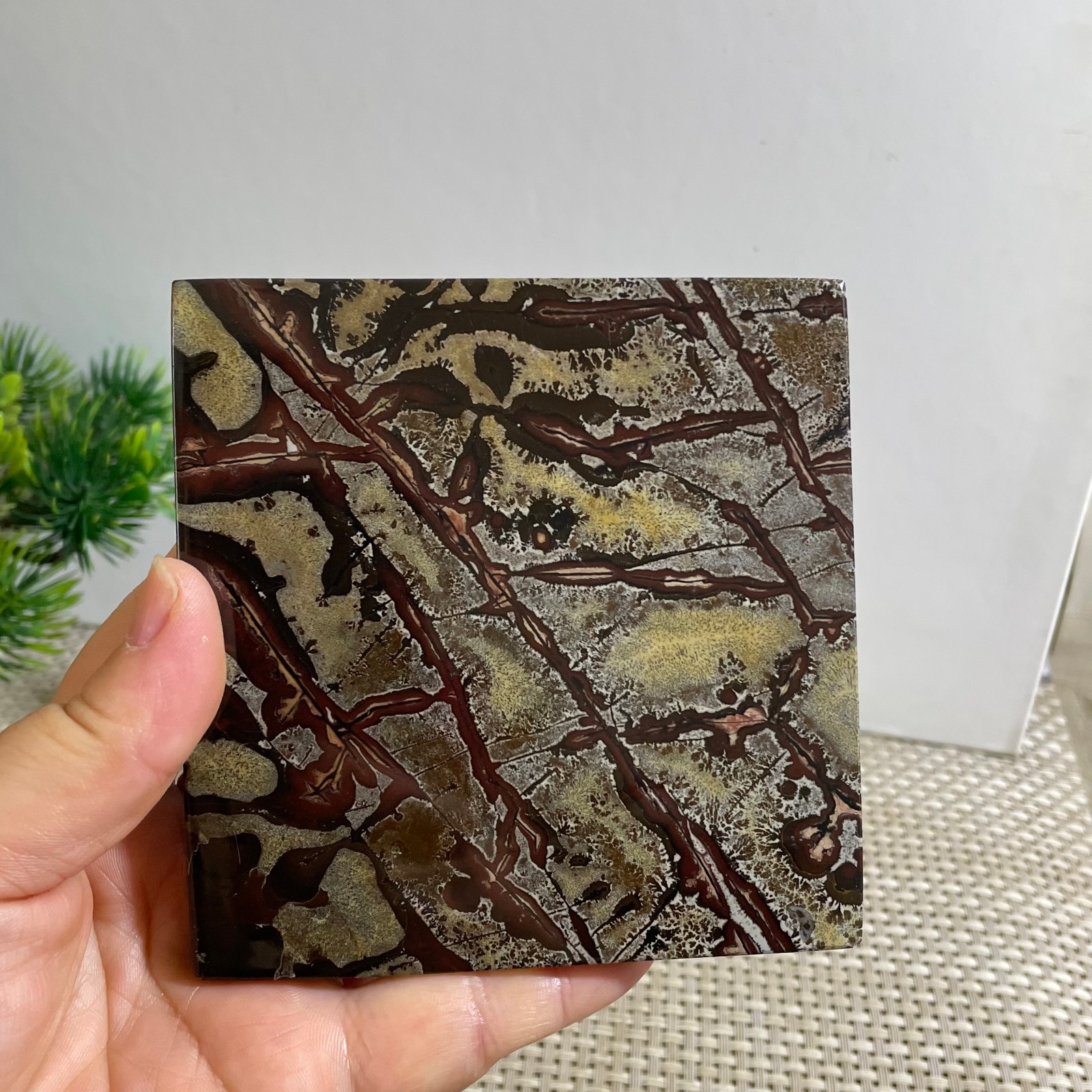 228g Beautiful Chinese Dendritic Limestone Picture Stone Guohua – Rare