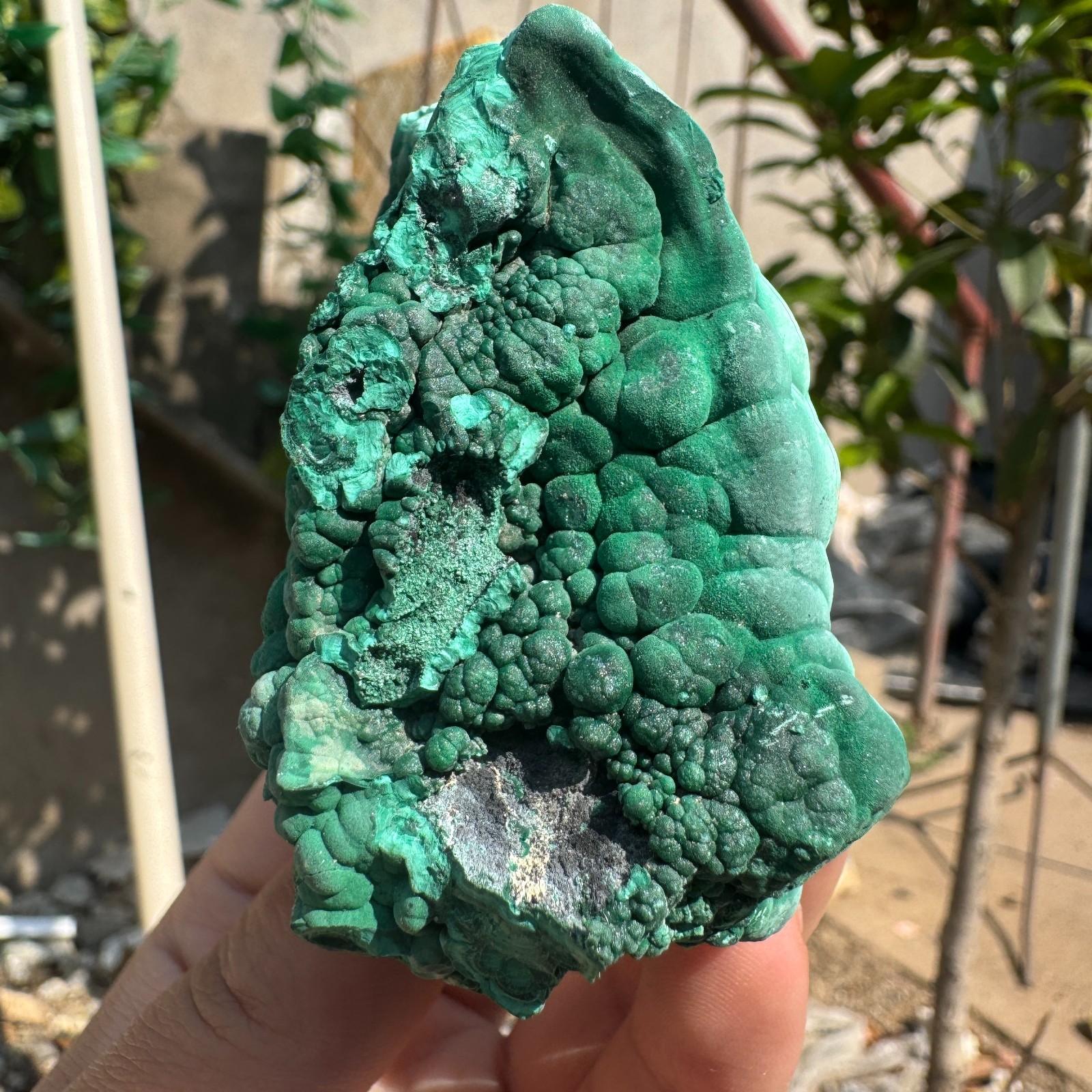 245G Natural Malachite crystal quartz Mineral Specimen Reiki congo