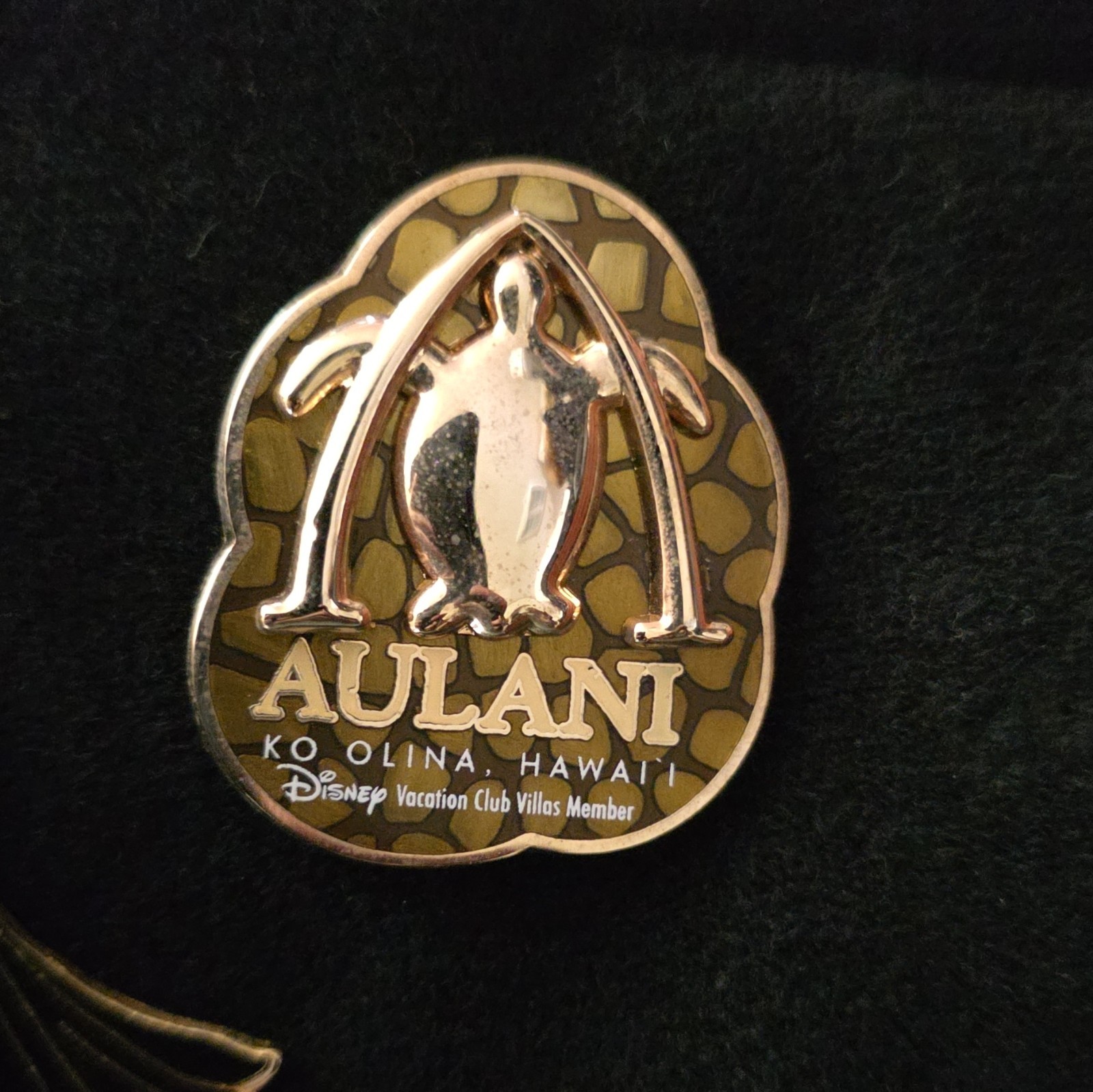 Disney Vacation Club Aulani Pin Turtle 2011