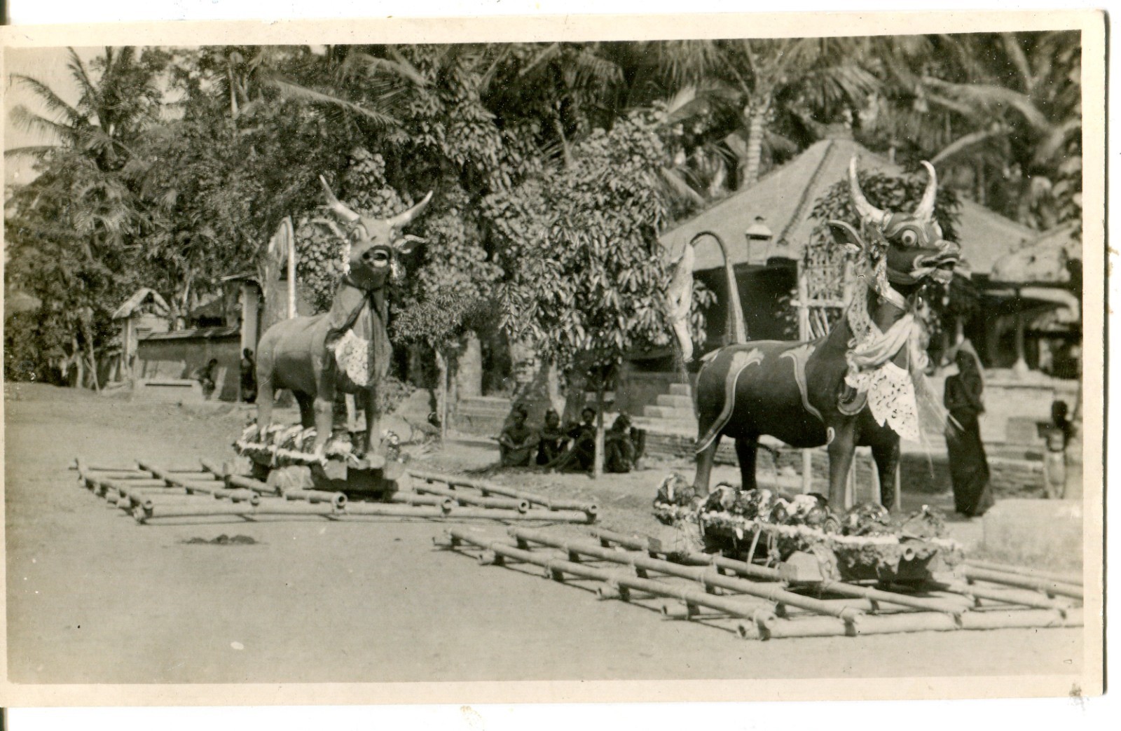 Indonesia Netherlands Bali – Holy Oxes old real photo postcard