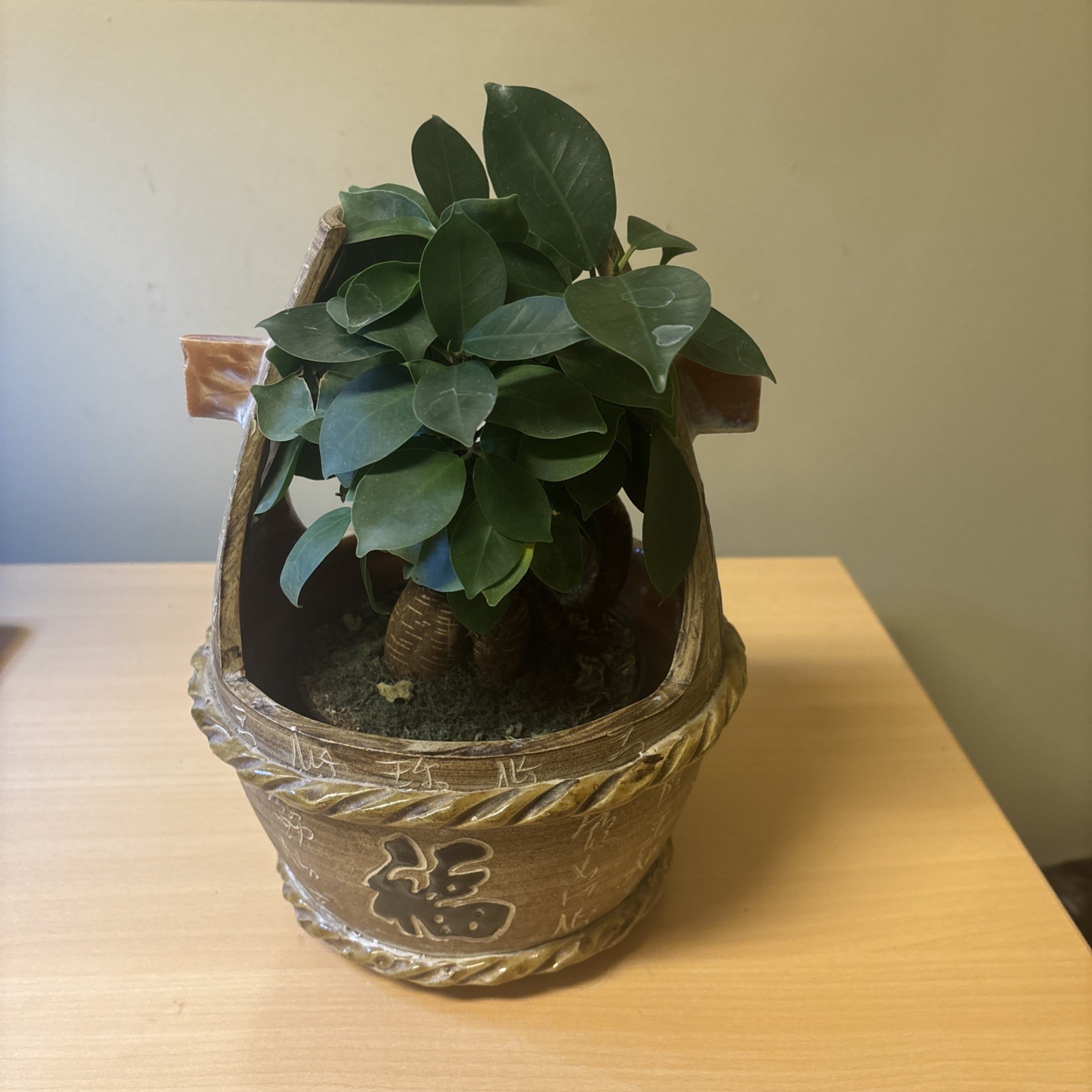 Asian Ceramic Planter Very Nice (My Plant Is Not Included)