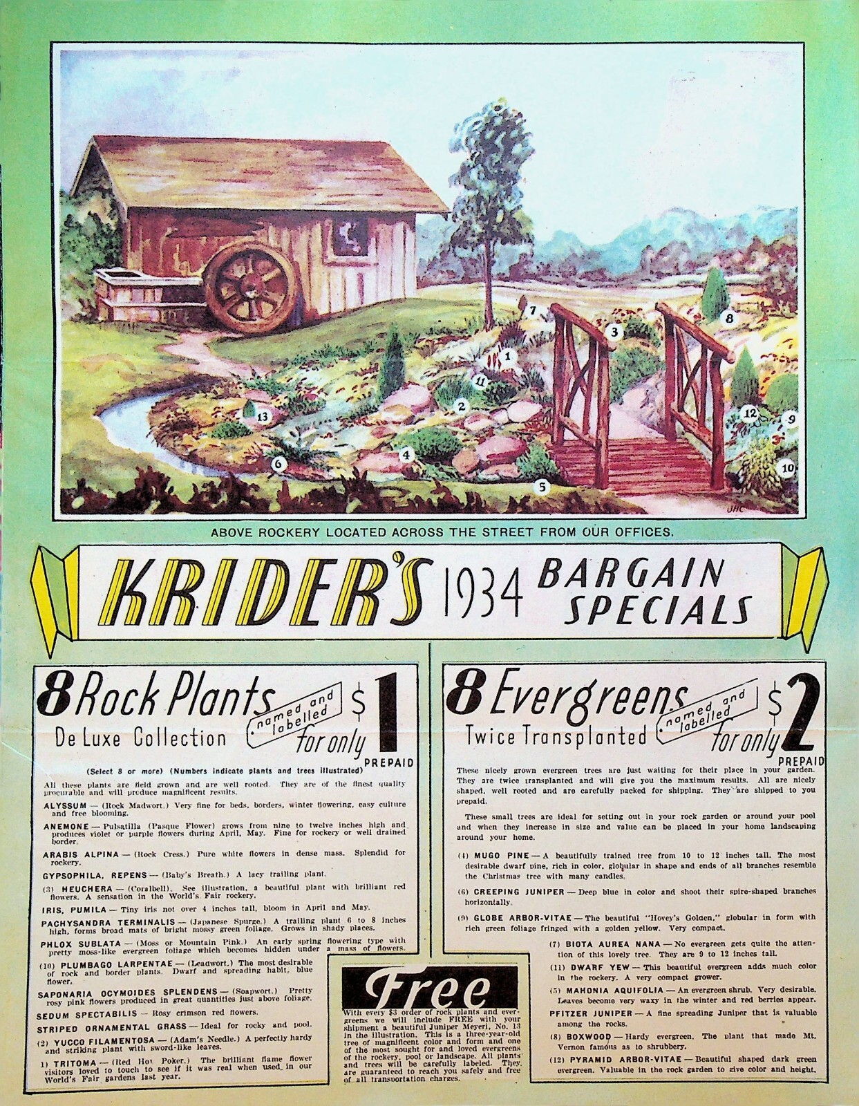 Krider’s 1934 Bargain Specials Brochure Flowers Nursery Middlebury Indiana