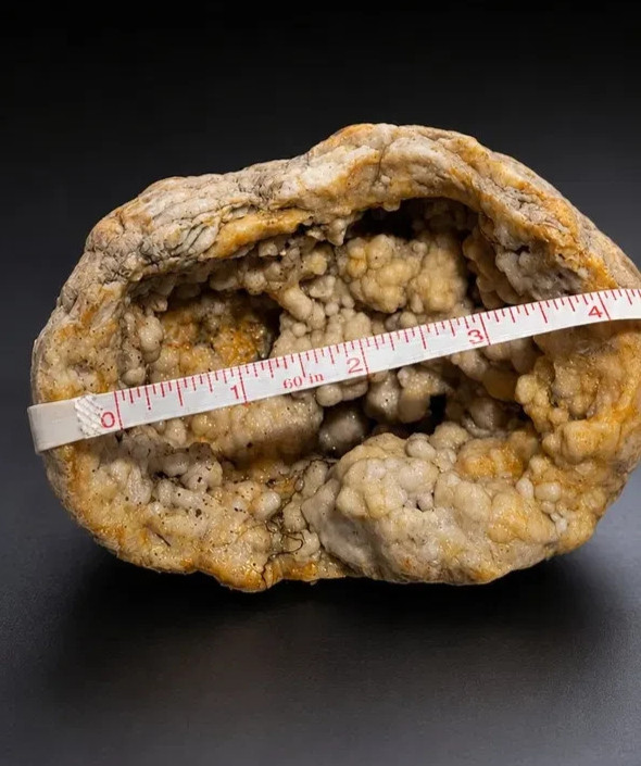 2.1 lb Open Kentucky Geode Half – Rare Botryoidal Crystal Display Specimen