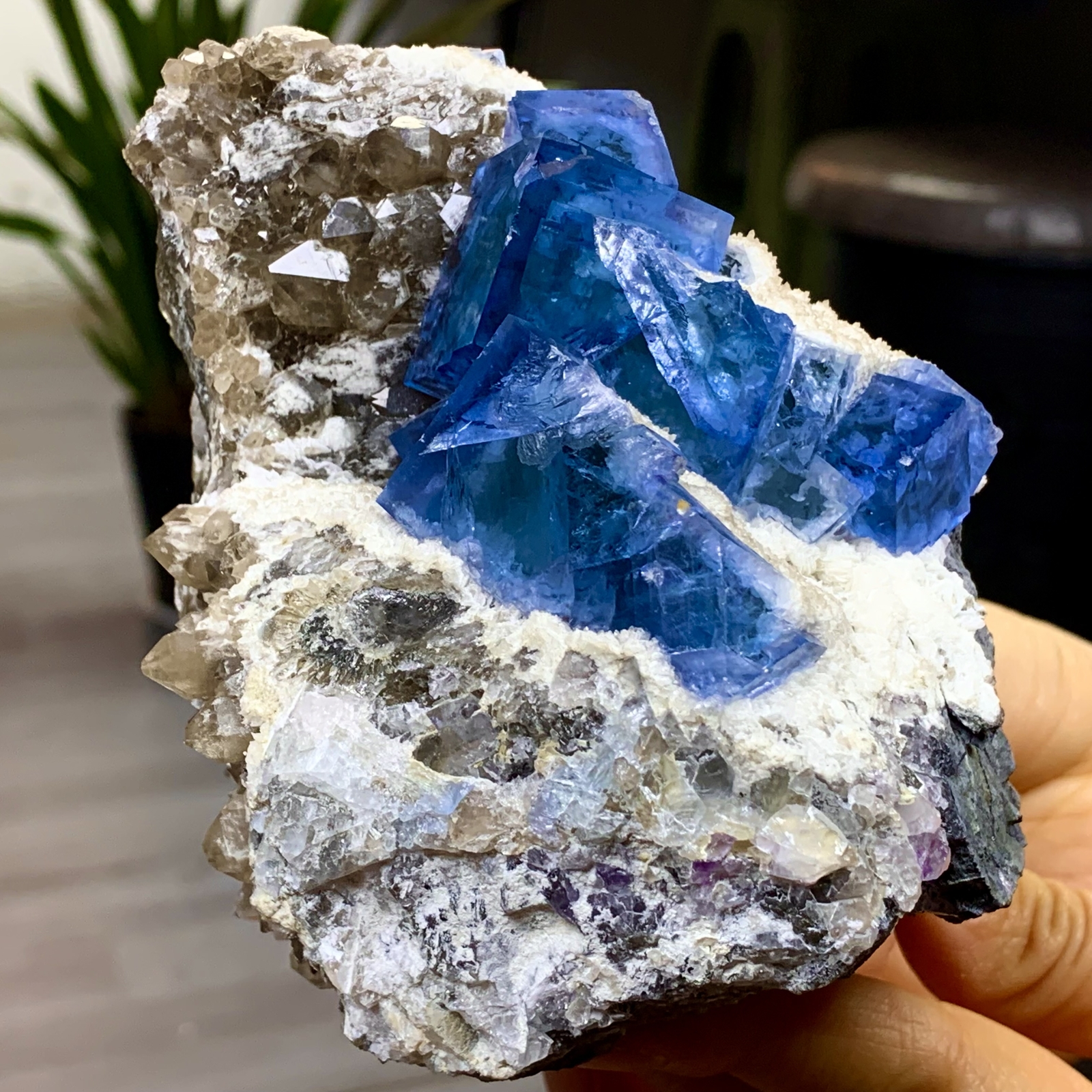 2.25LB Rare blue cubic fluorite +Citrine mineral crystal sample/China